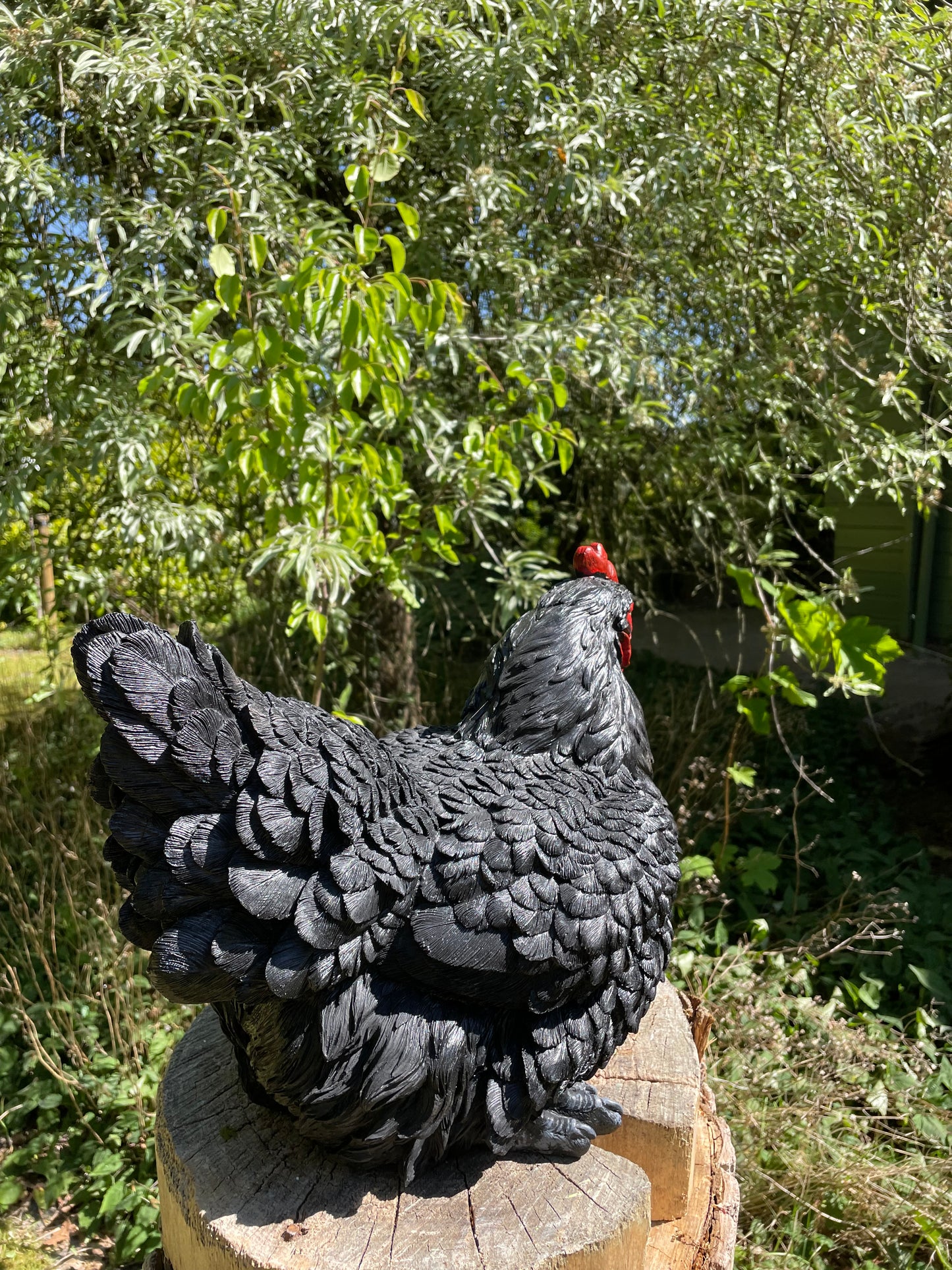 Beeld kip, zwart groot tuin, vijver, gazon, boerderij 40cm