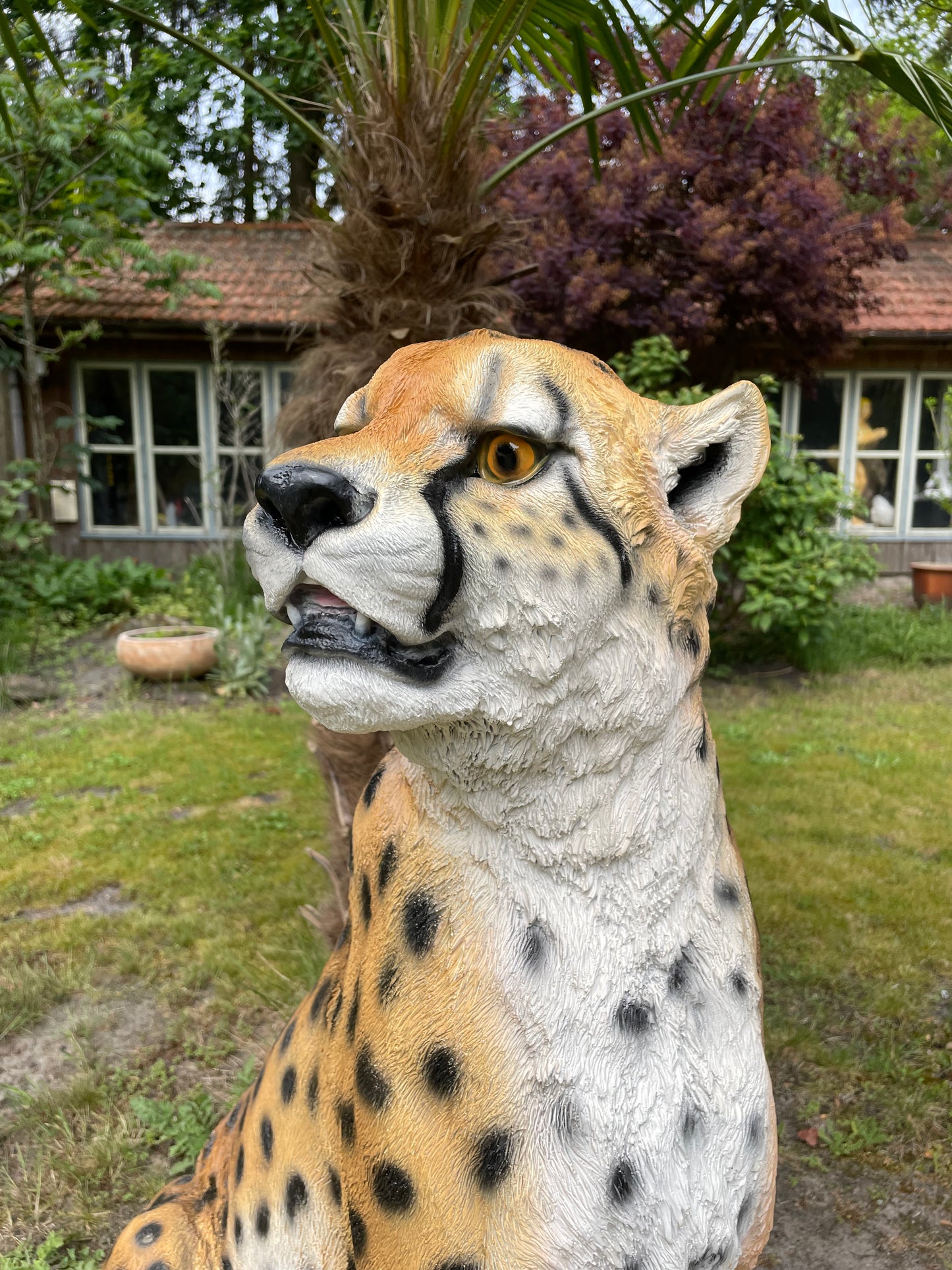 Tuinbeeld cheeta zittend gazon, tuin, dierentuin, 95 cm