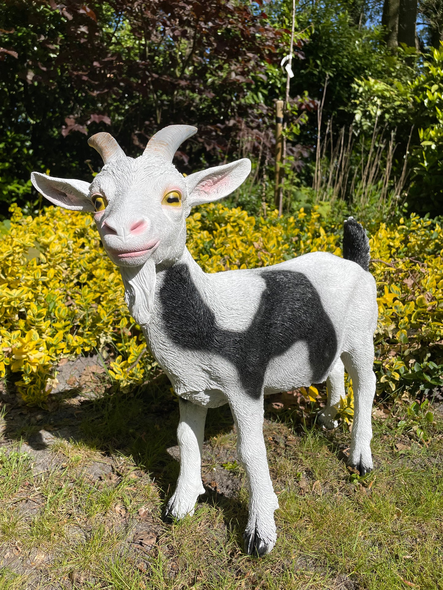 Beeld Bok Geit witte sik tuin, gazon, boerderij 60cm