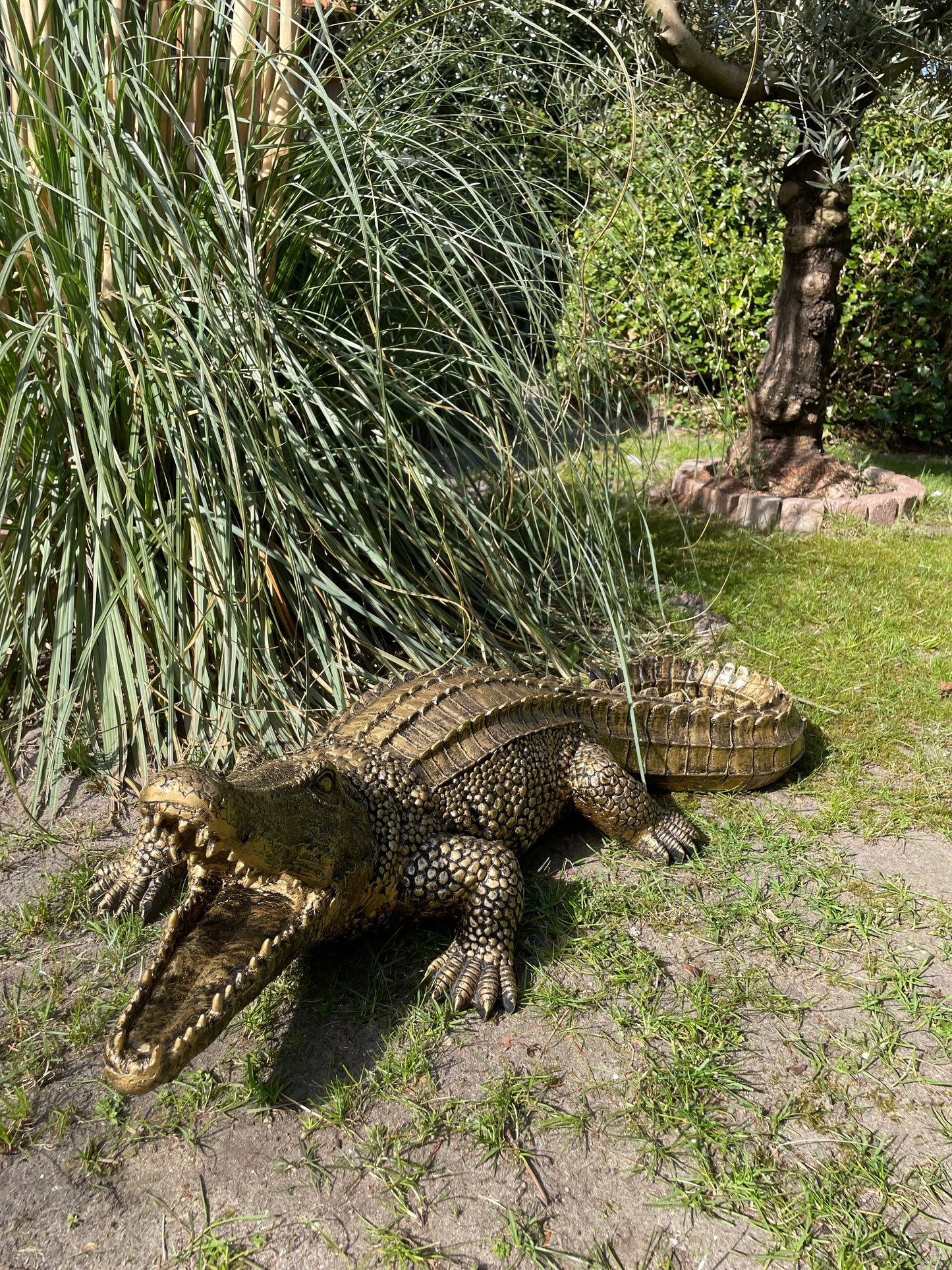 Beeld krokodil, Antiek Goud, zwembad, vijver, boerderij 100cm