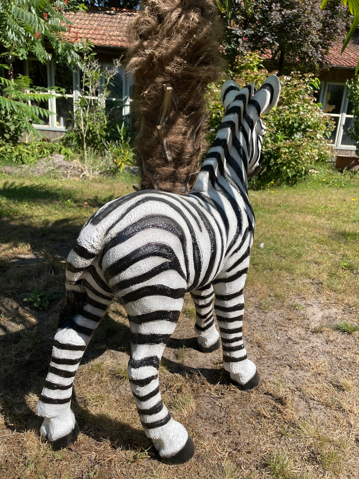 Beeld zebra, tuin, zwembad, vijver, woonkamer 70cm