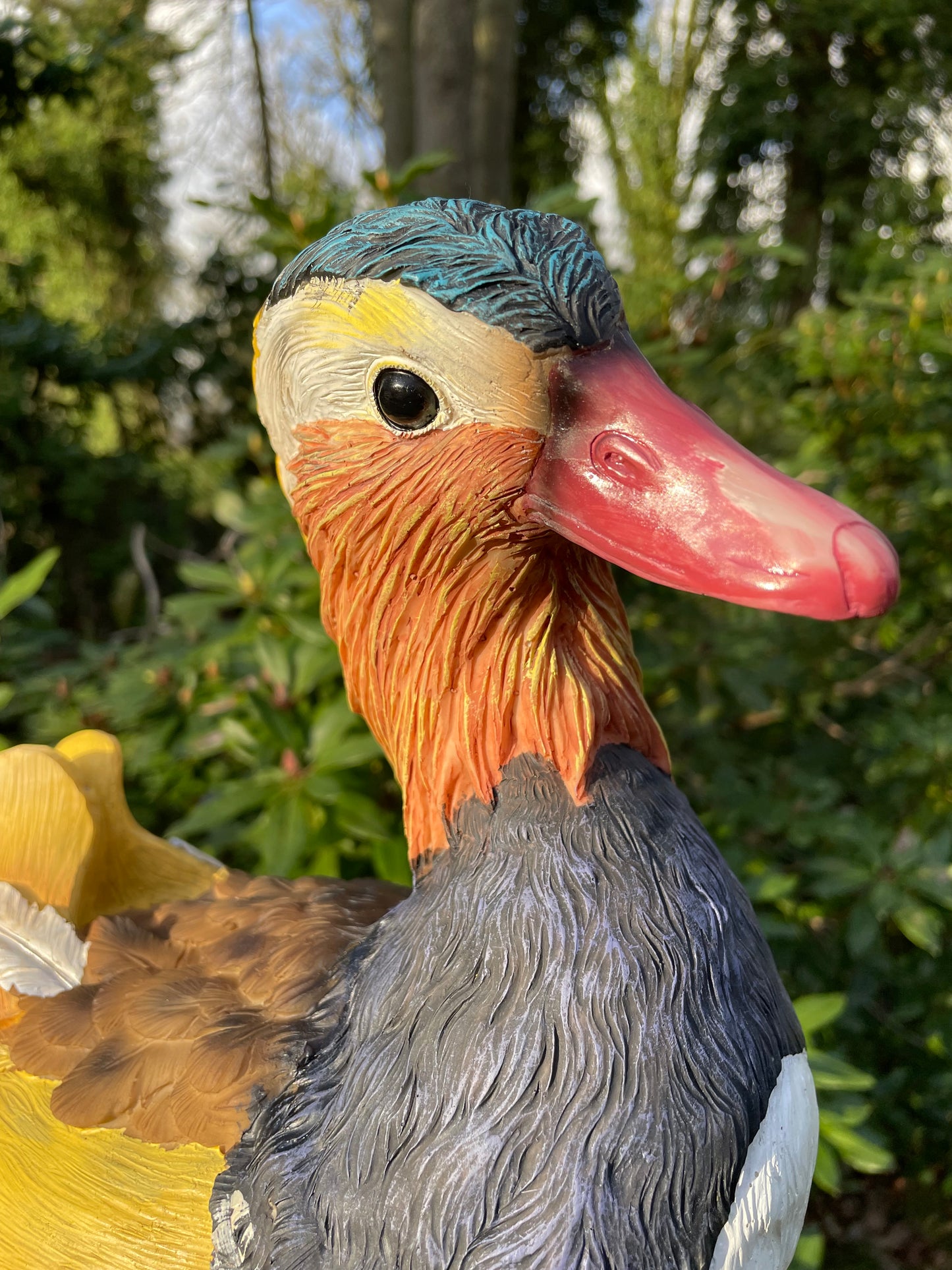 Mandarijn eend tuin, vijver, gazon, boerderij 40cm