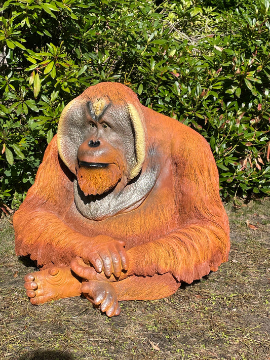 Orang Oetan  tuin, zwembad, vijver 80cm
