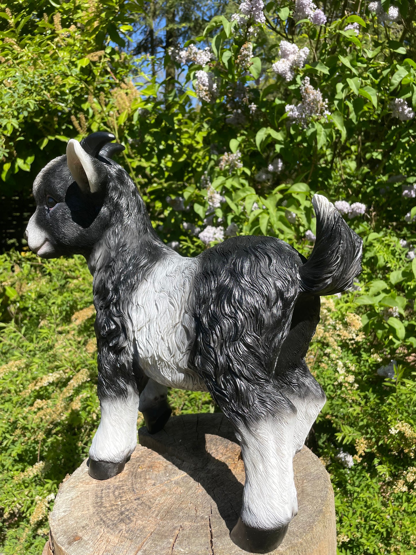 Geitjes, zwart/wit, tuin, boerderij, dierentuin 45cm