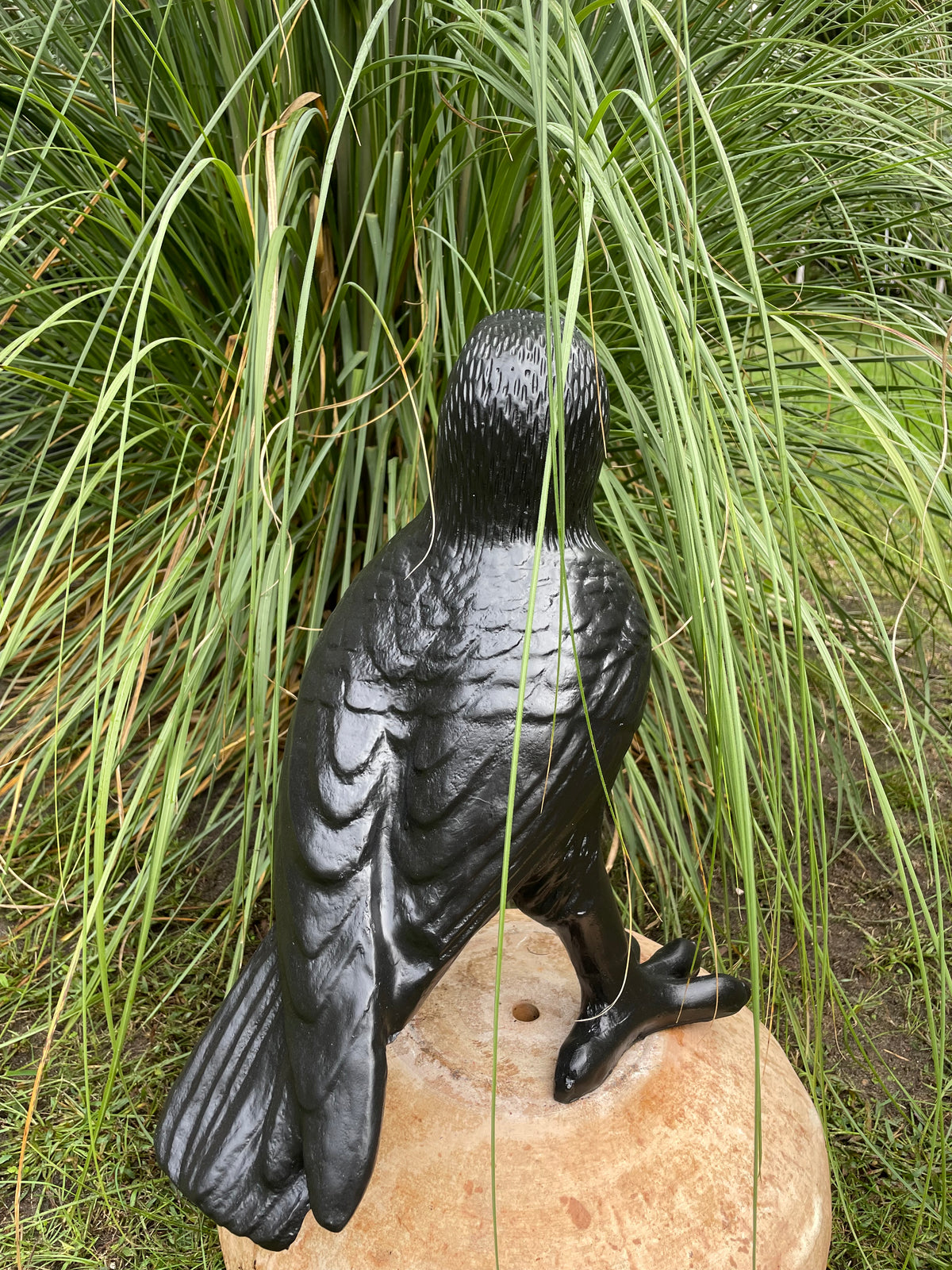 Kraai, Raaf, gazon, tuin, boerderij 45cm