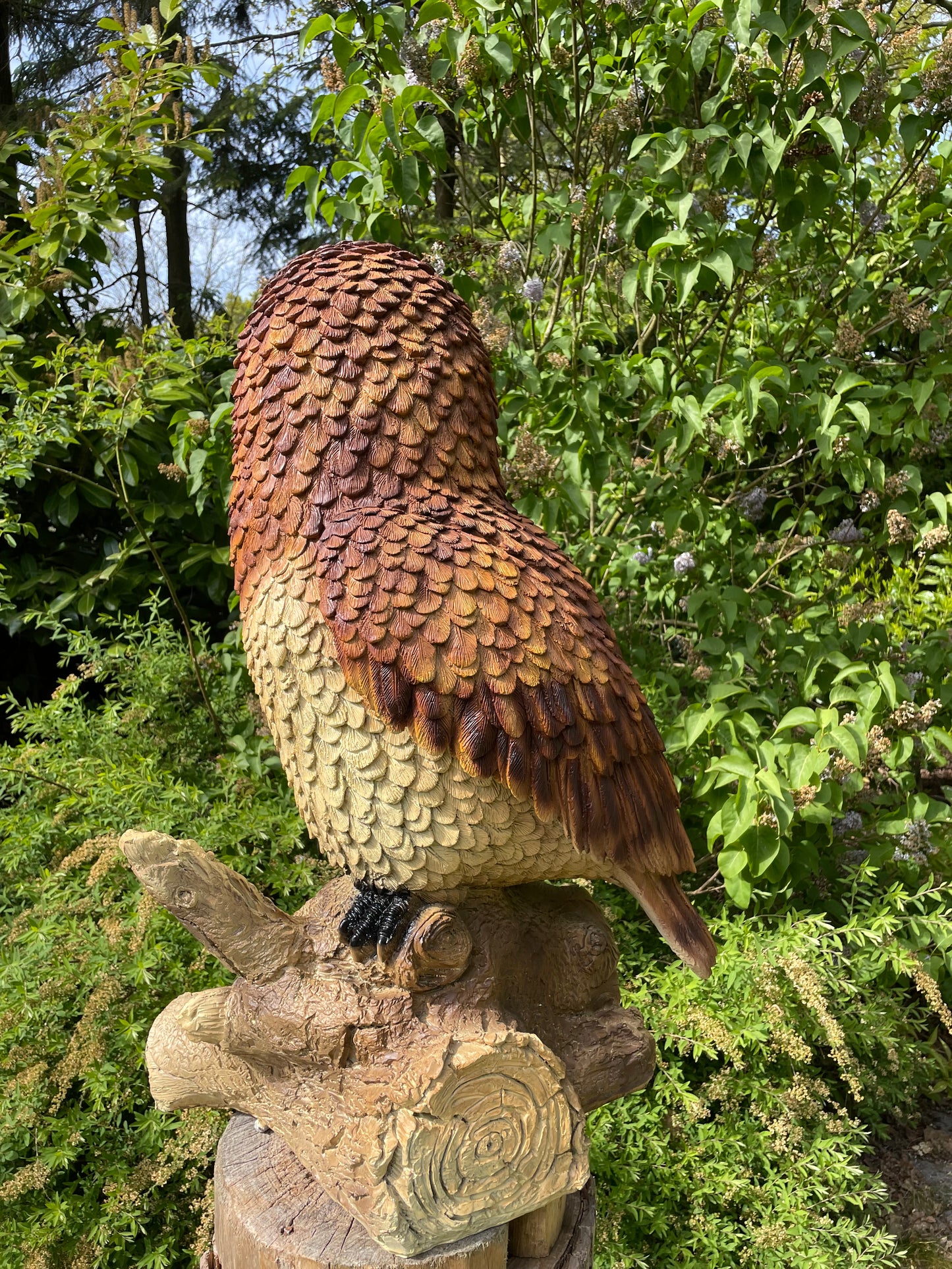 Beeld Bruine uil, boomstronk, tuin, gazon, dierentuin 80cm