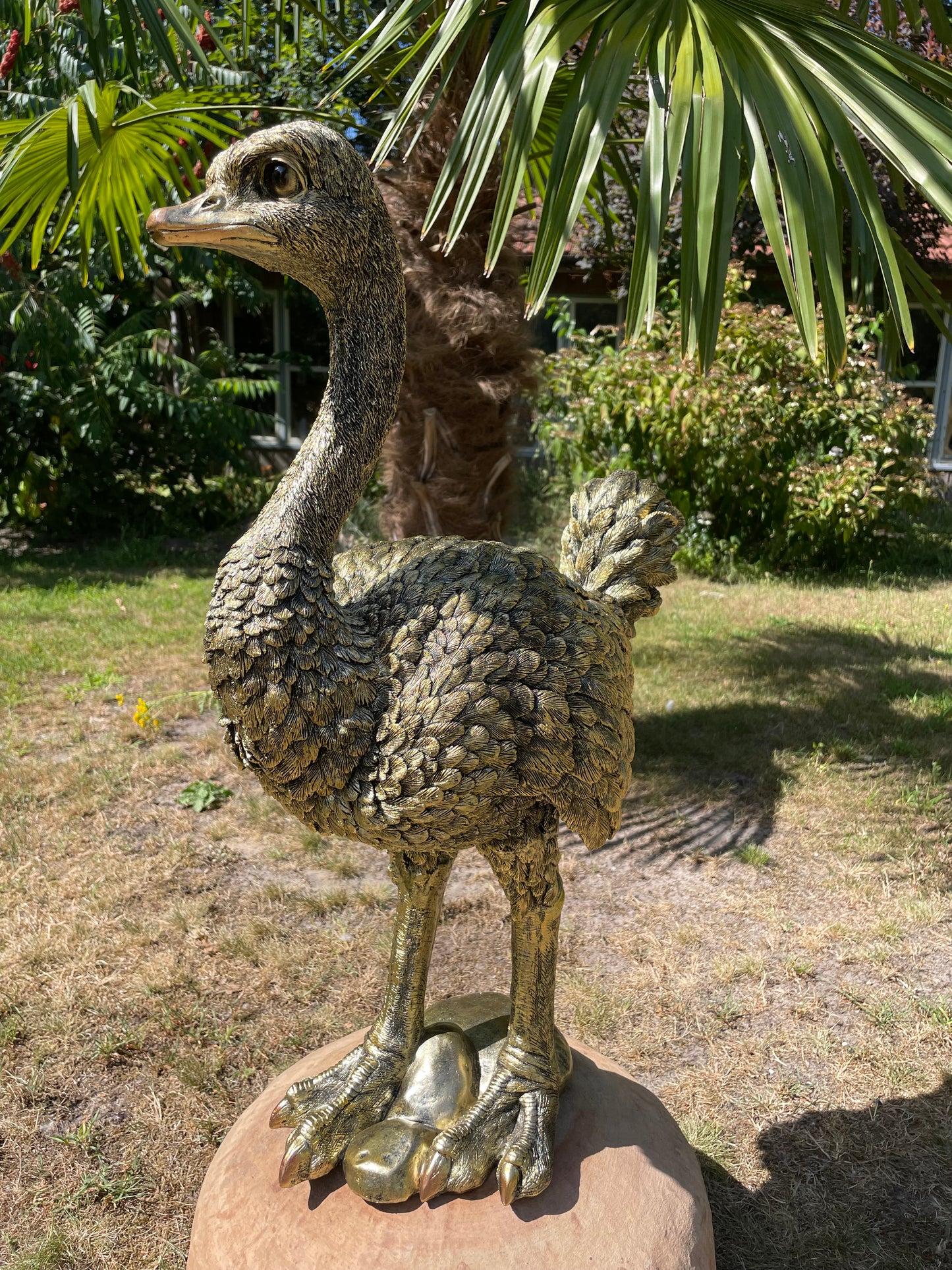 Beeld Struisvogel middel, gazon, tuin, dierentuin 70cm