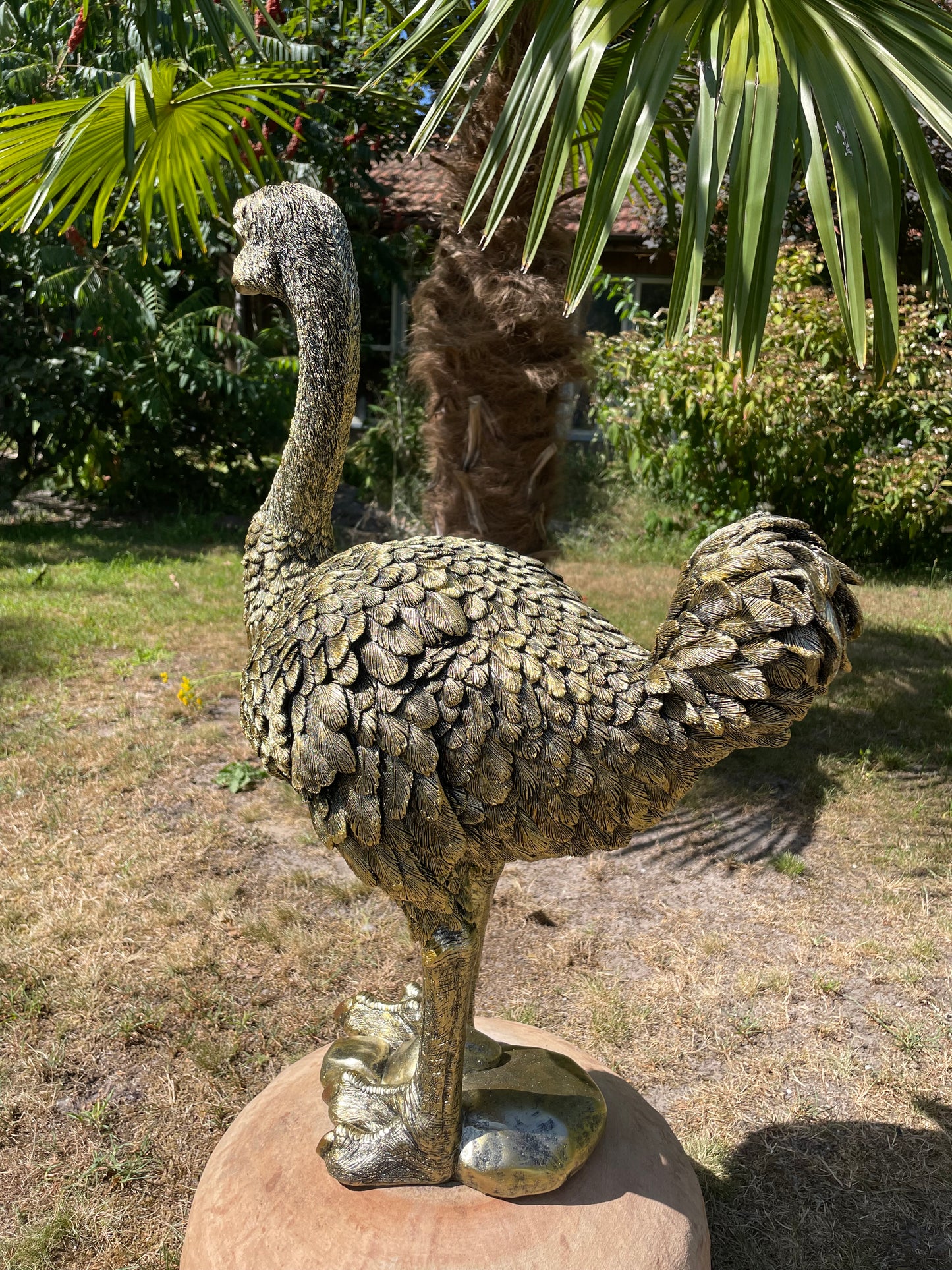 Beeld Struisvogel middel, gazon, tuin, dierentuin 70cm