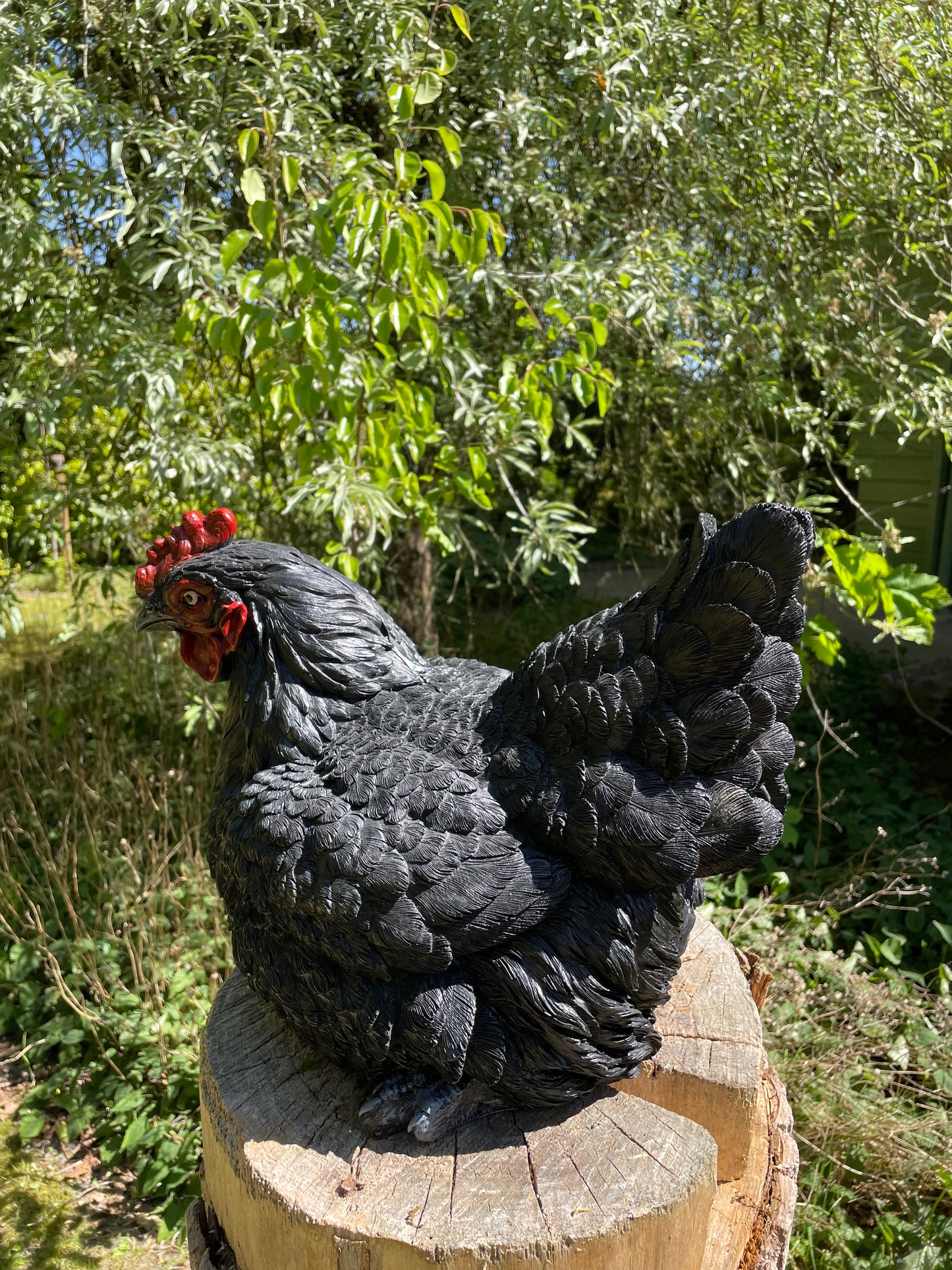 Beeld kip, zwart groot tuin, vijver, gazon, boerderij 40cm