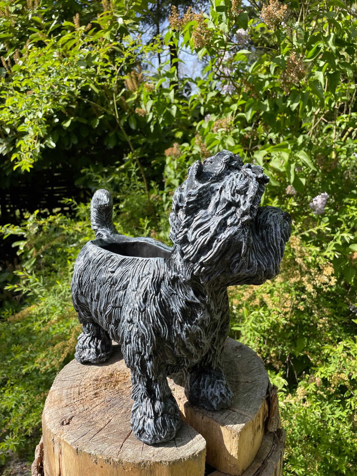 hond poedel plantenbak, tuin, gazon  45cm