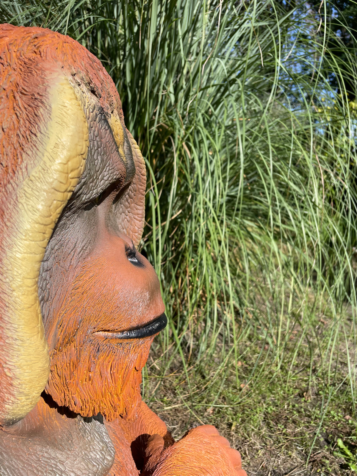Orang Oetan  tuin, zwembad, vijver 80cm