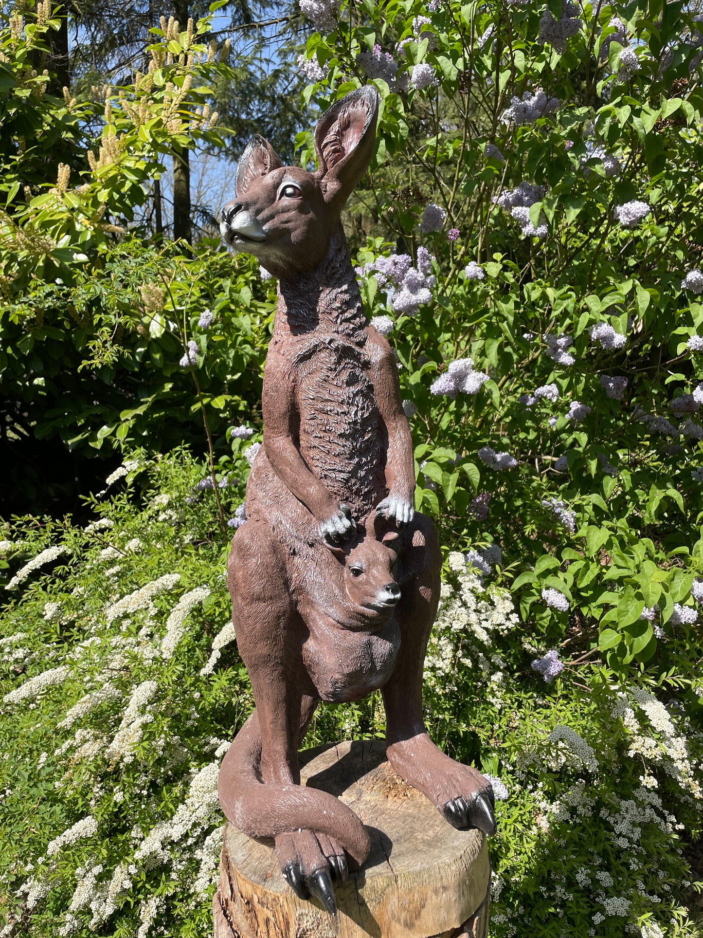 Beeld Kangoeroe klein tuin, vijver, boerderij, dierentuin 55cm