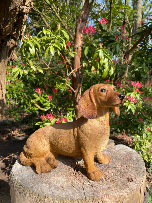 Beeld teckel, tekkel, zittend hond, tuin, gazon 30 cm
