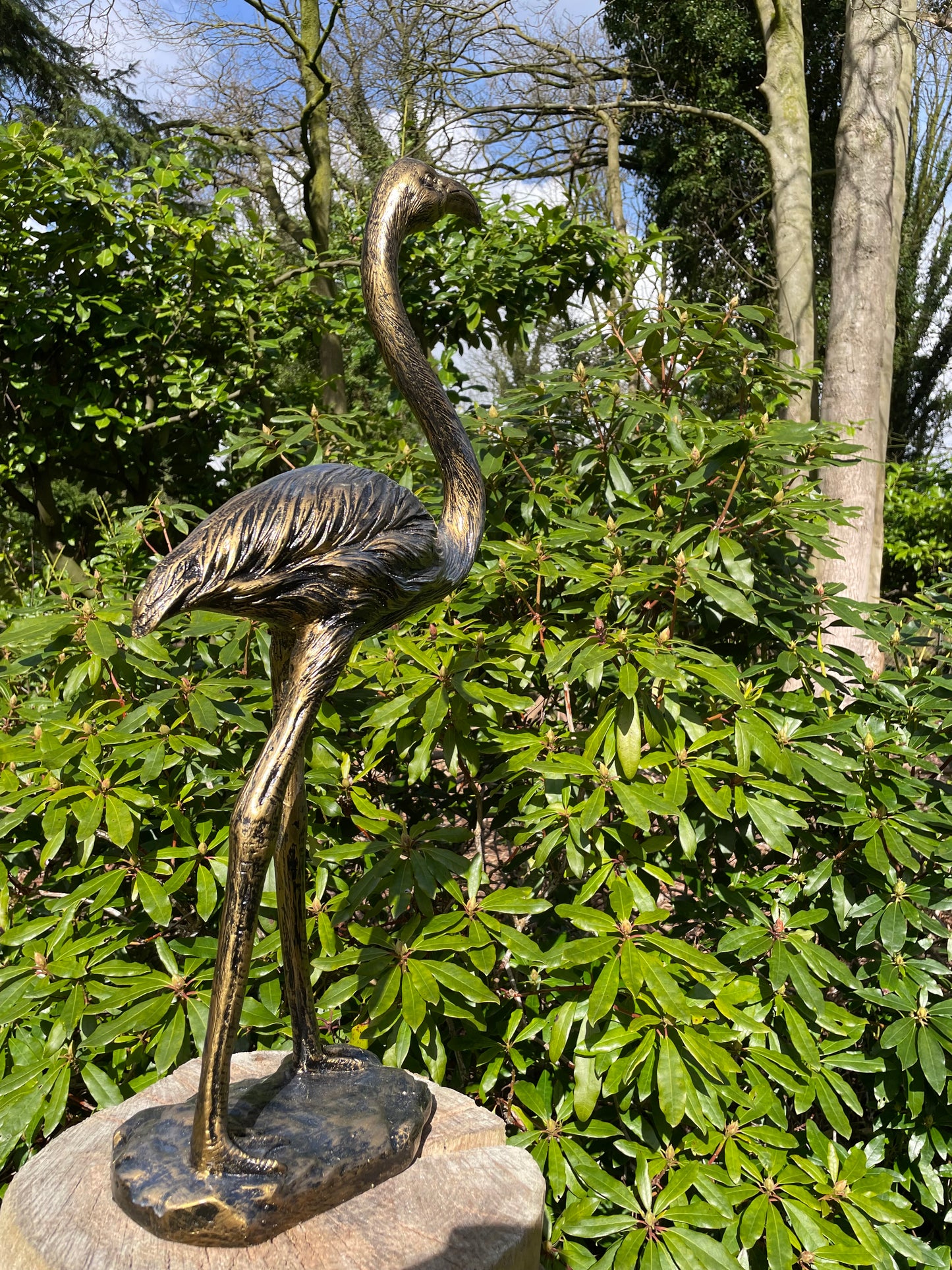 (Tuin)Beeld flamingo, tuin, zwembad, vijver 70cm