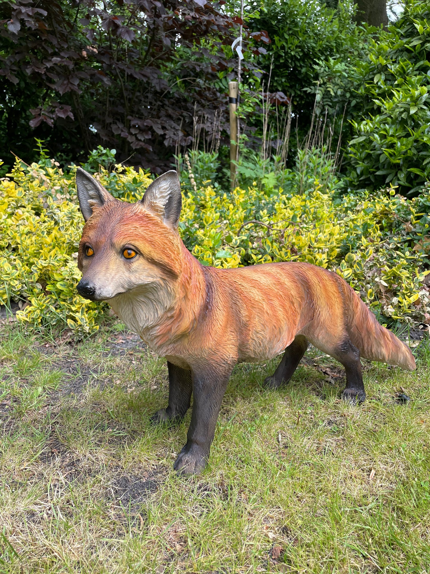 Tuinbeeld vos lopend gazon, tuin, dierentuin, 70 cm
