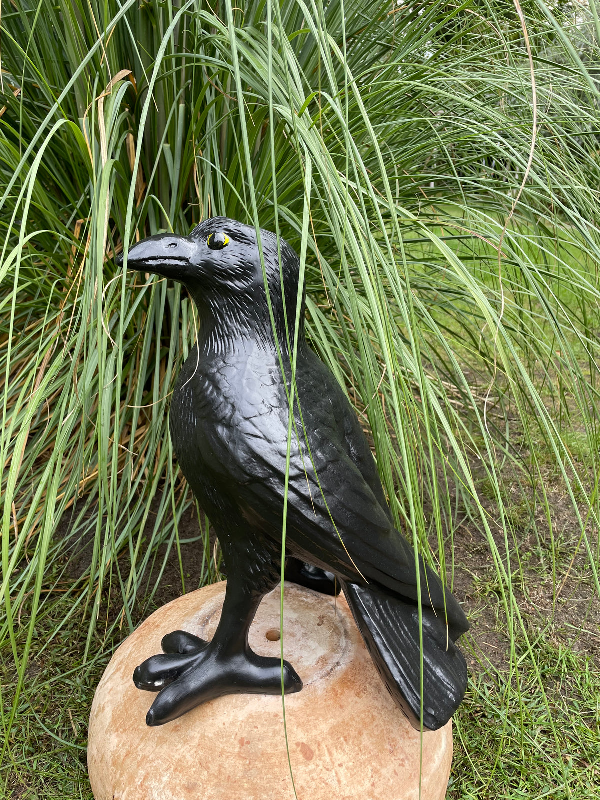 Kraai, Raaf, gazon, tuin, boerderij 45cm