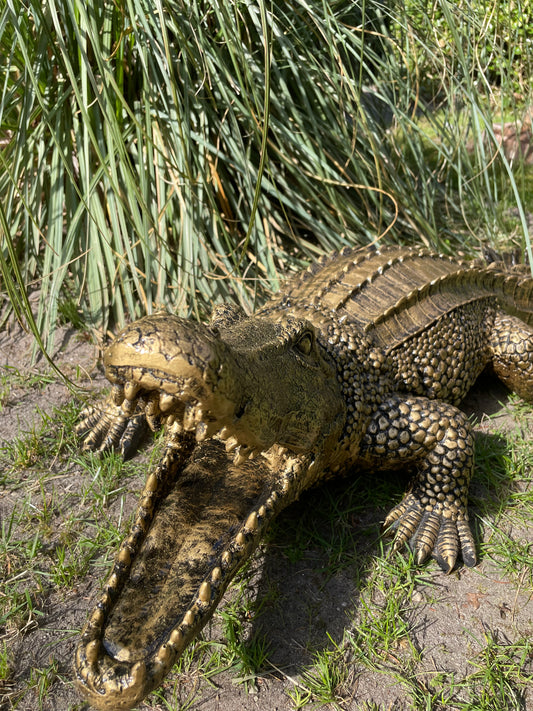 Beeld krokodil, Antiek Goud, zwembad, vijver, boerderij 100cm