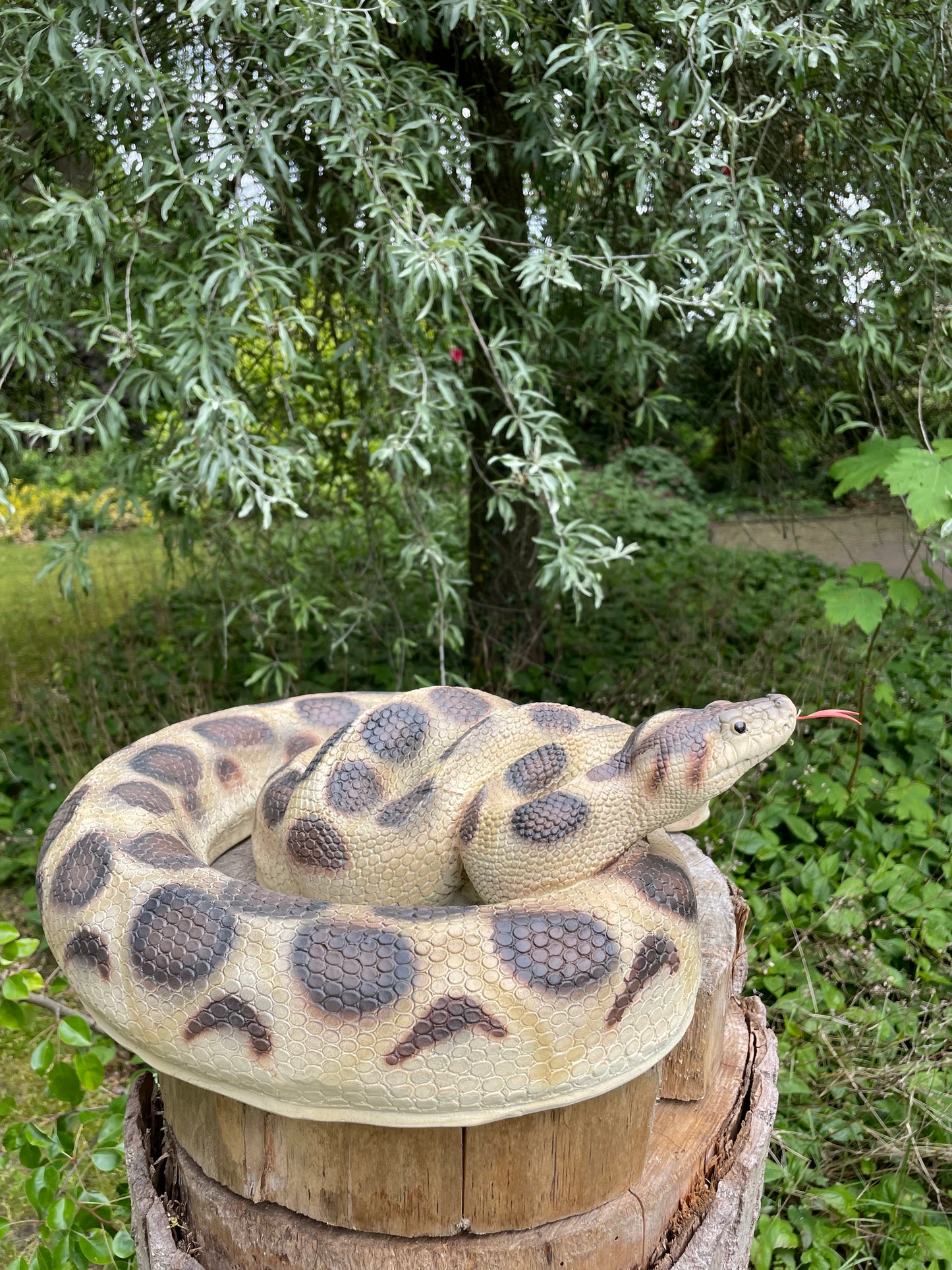 Beeld slang terrarium, dieren, dierentuin 45cm