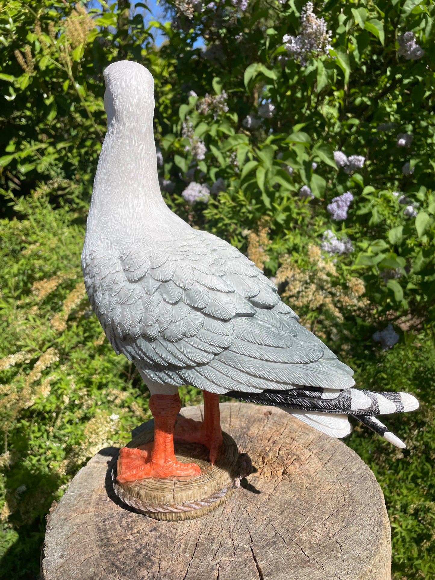 Meeuw, vogel, tuin, boerderij, vijver, zee 30cm