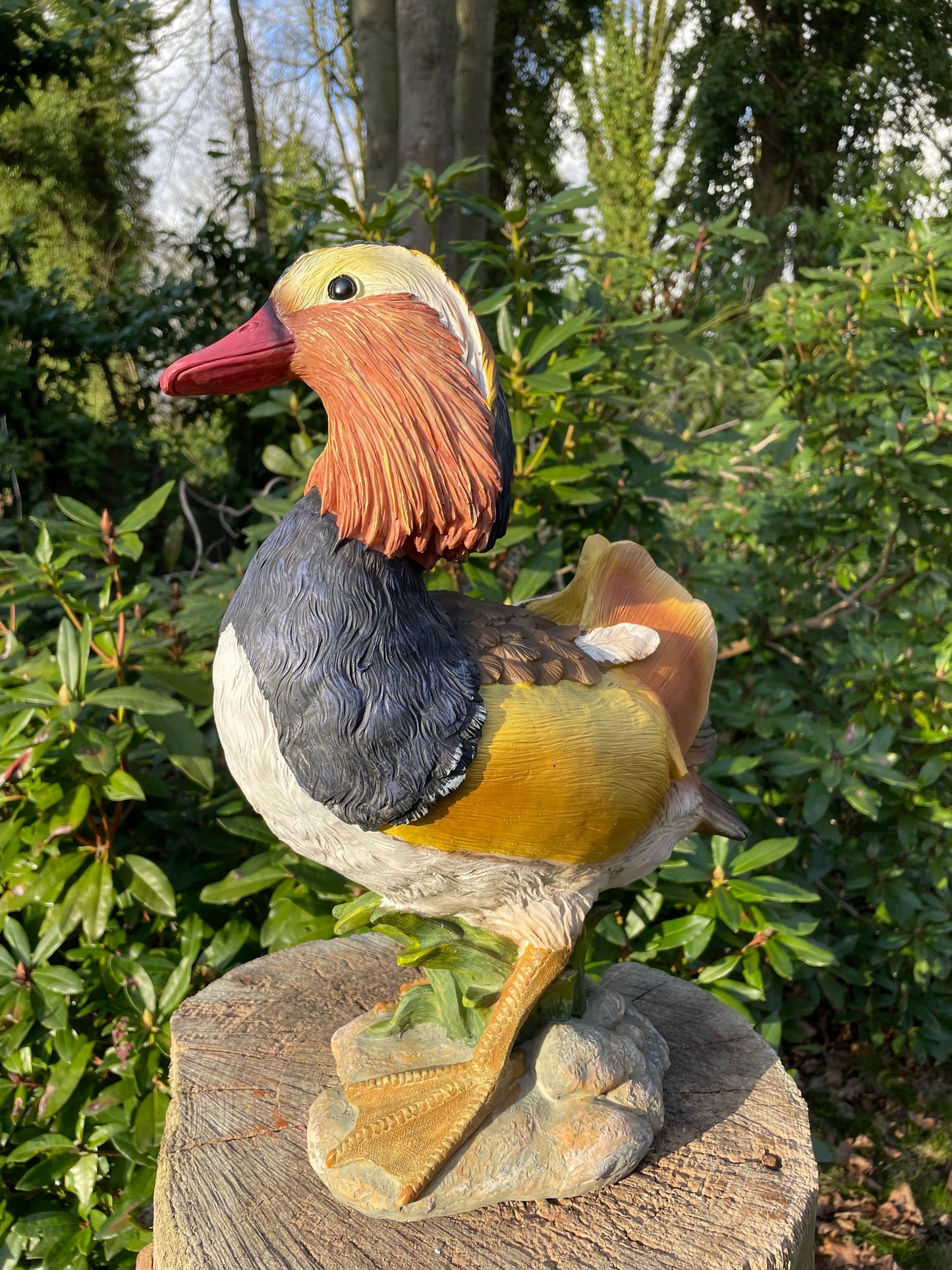 Mandarijn eend tuin, vijver, gazon, boerderij 40cm