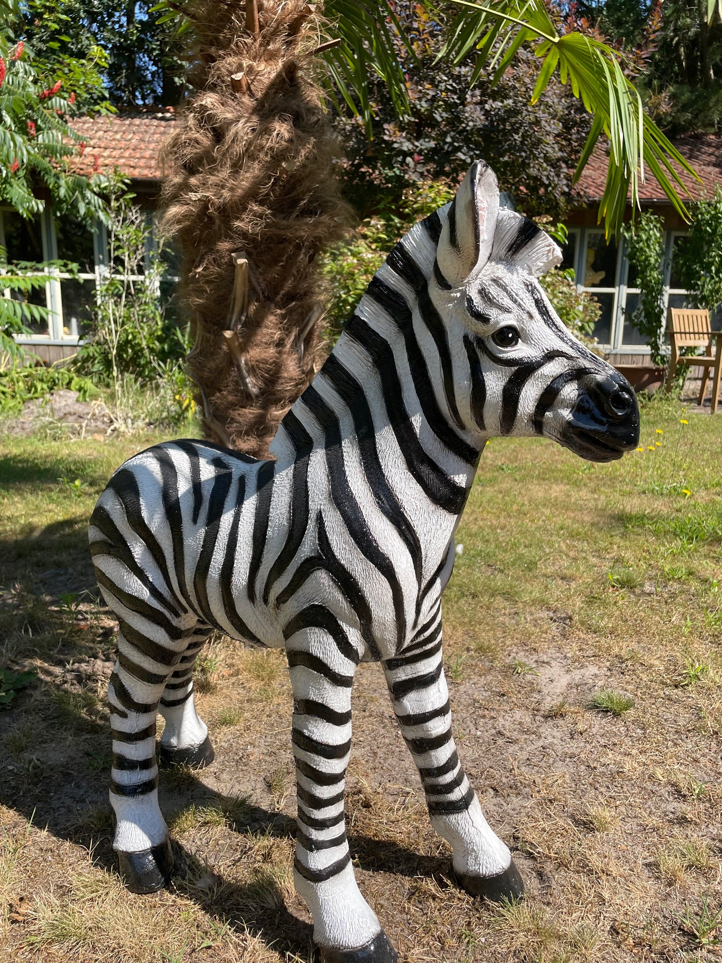 Beeld zebra, tuin, zwembad, vijver, woonkamer 70cm