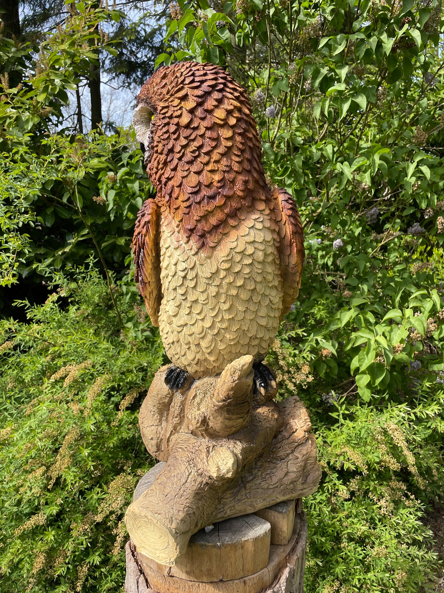 Beeld Bruine uil, boomstronk, tuin, gazon, dierentuin 80cm