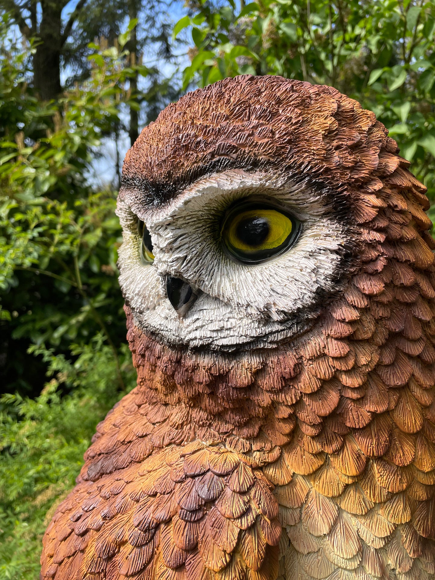 Beeld Bruine uil, boomstronk, tuin, gazon, dierentuin 80cm