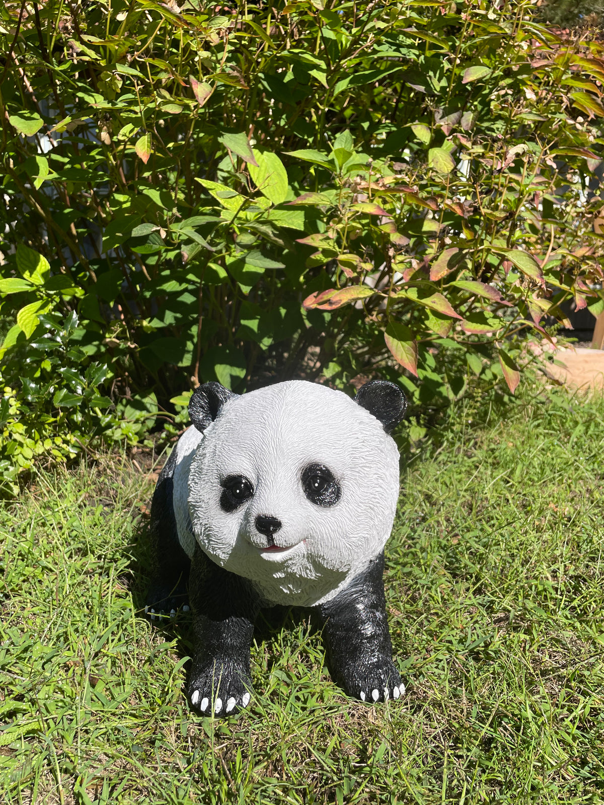 Panda lopend 50cm