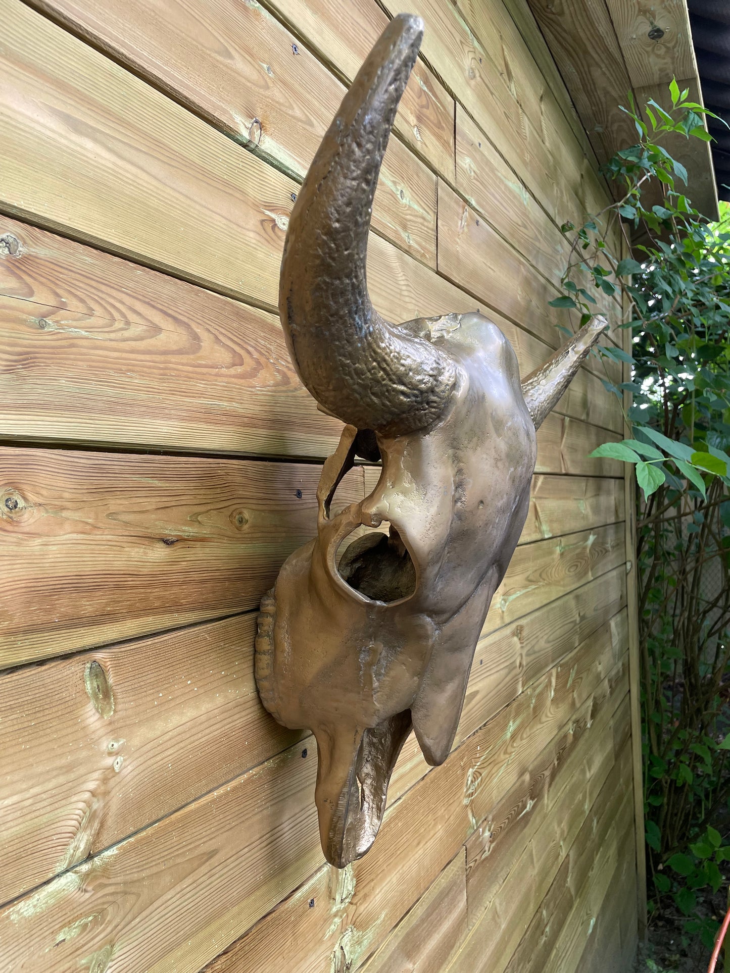 Wand buffelschedel brons metaal , woonkamer, cowboy 60cm