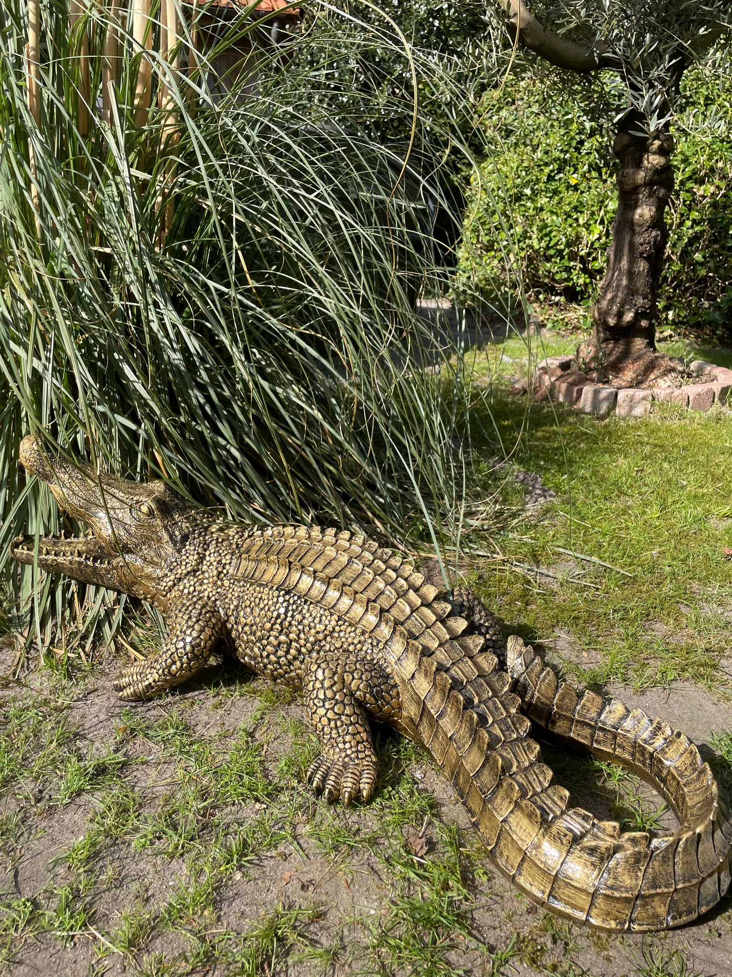 Beeld krokodil, Antiek Goud, zwembad, vijver, boerderij 100cm