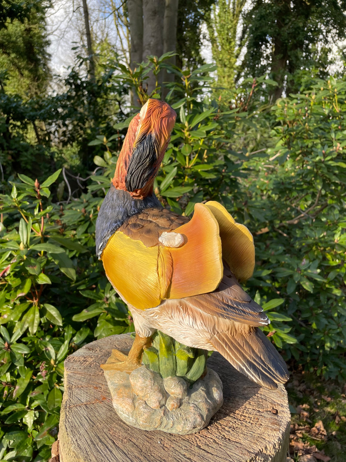 Mandarijn eend tuin, vijver, gazon, boerderij 40cm