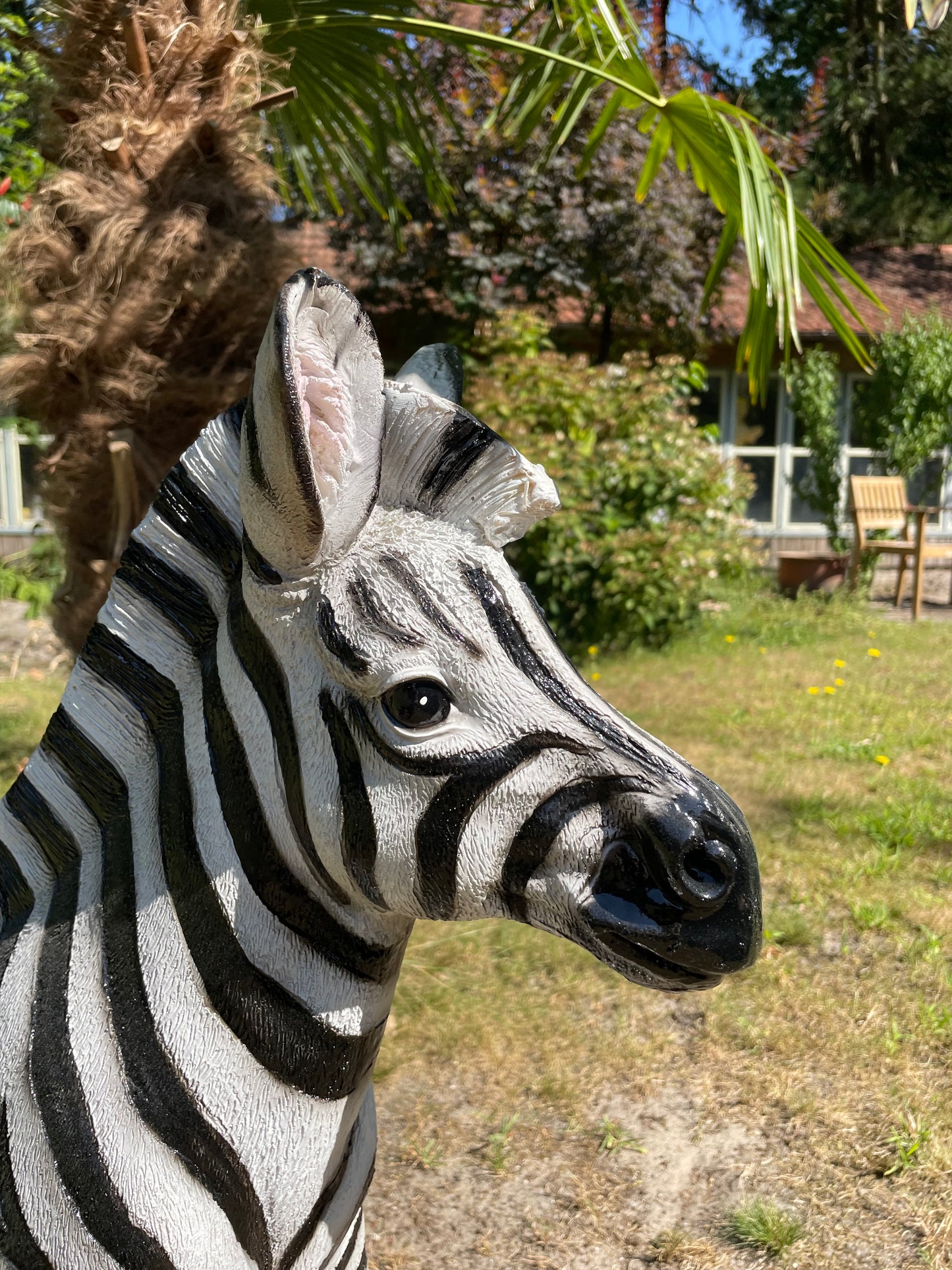 Beeld zebra, tuin, zwembad, vijver, woonkamer 70cm