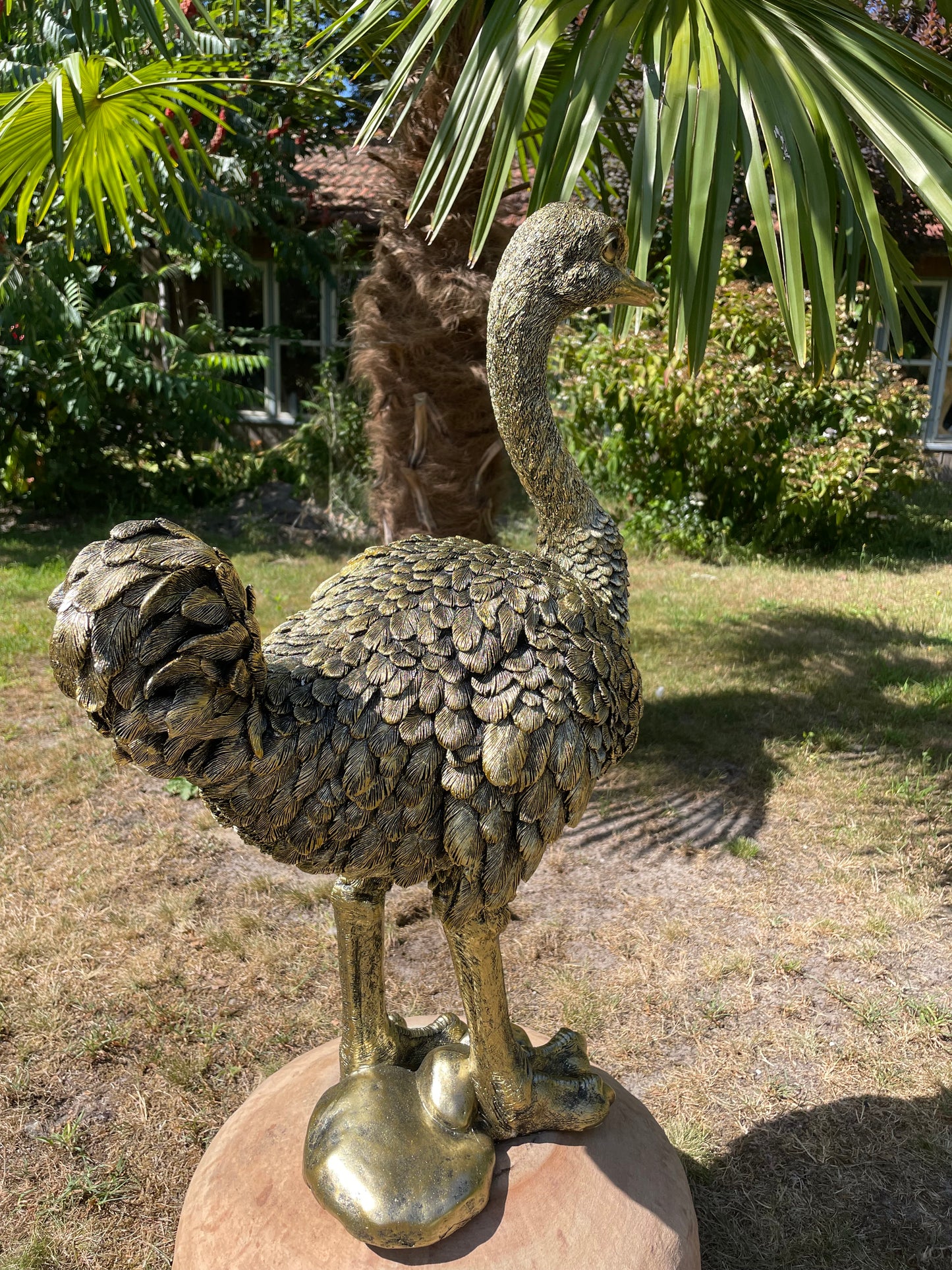 Beeld Struisvogel middel, gazon, tuin, dierentuin 70cm