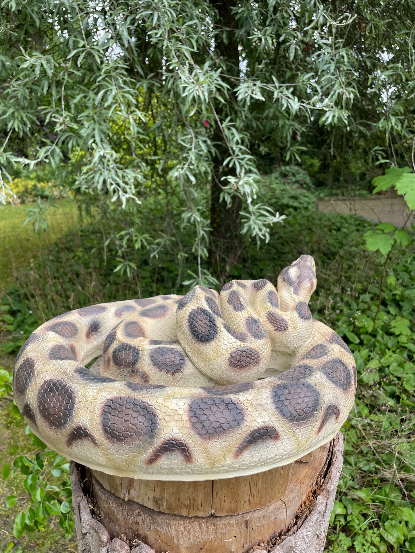 Beeld slang terrarium, dieren, dierentuin 45cm