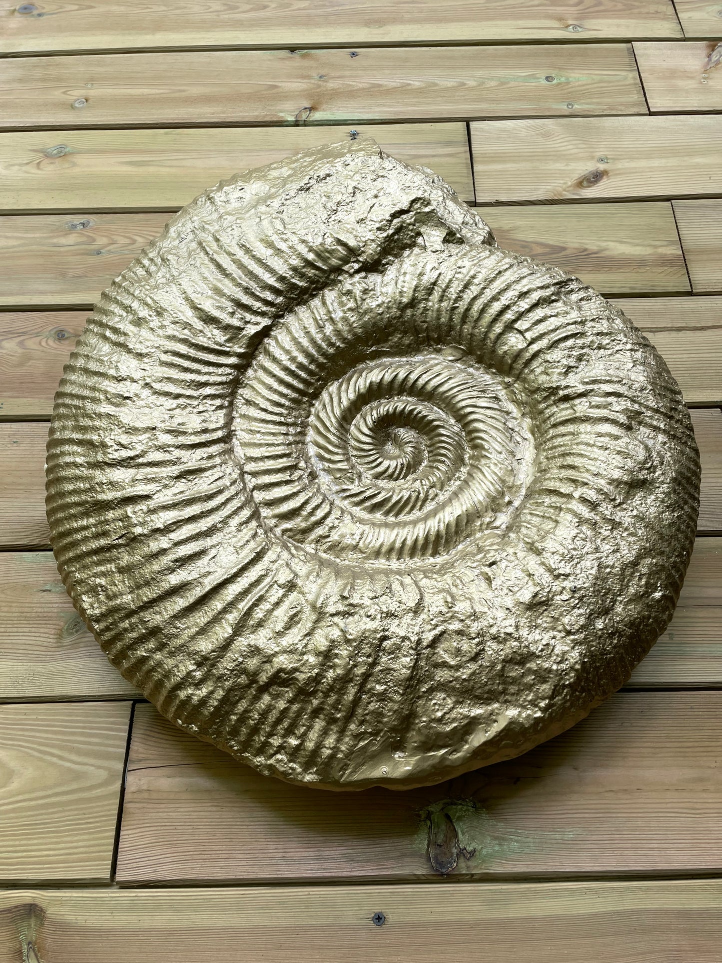 Beeld schelp goud, woonkamer, slaapkamer, interieur 30cm