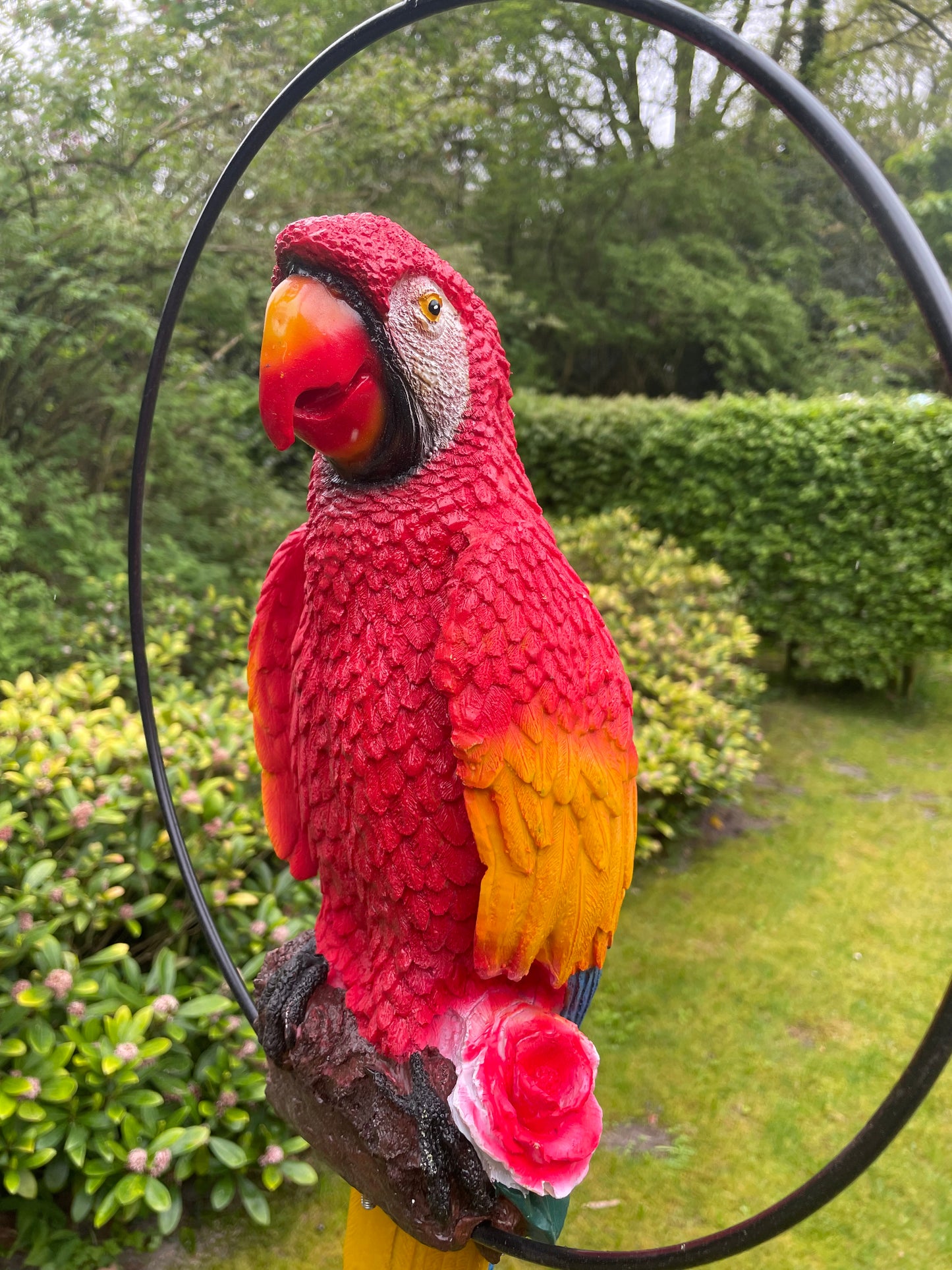 Beeld papegaai Rood tuin, zwembad, vijver, balkon 70cm