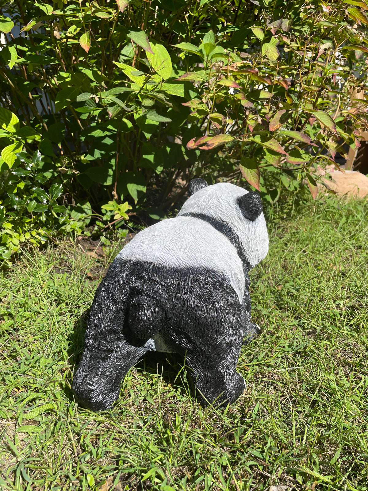 Panda lopend 50cm