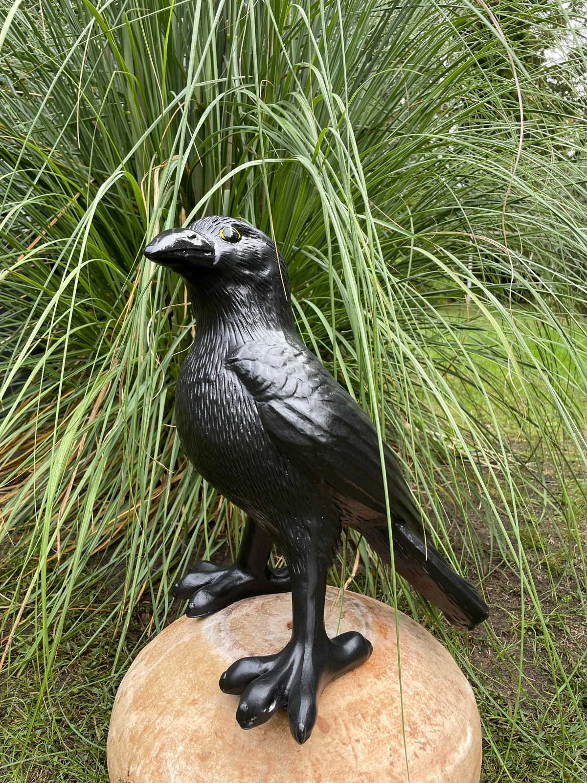 Kraai, Raaf, gazon, tuin, boerderij 45cm