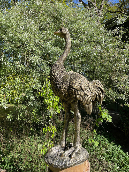 Beeld Struisvogel groot, gazon, tuin, dierentuin 110cm