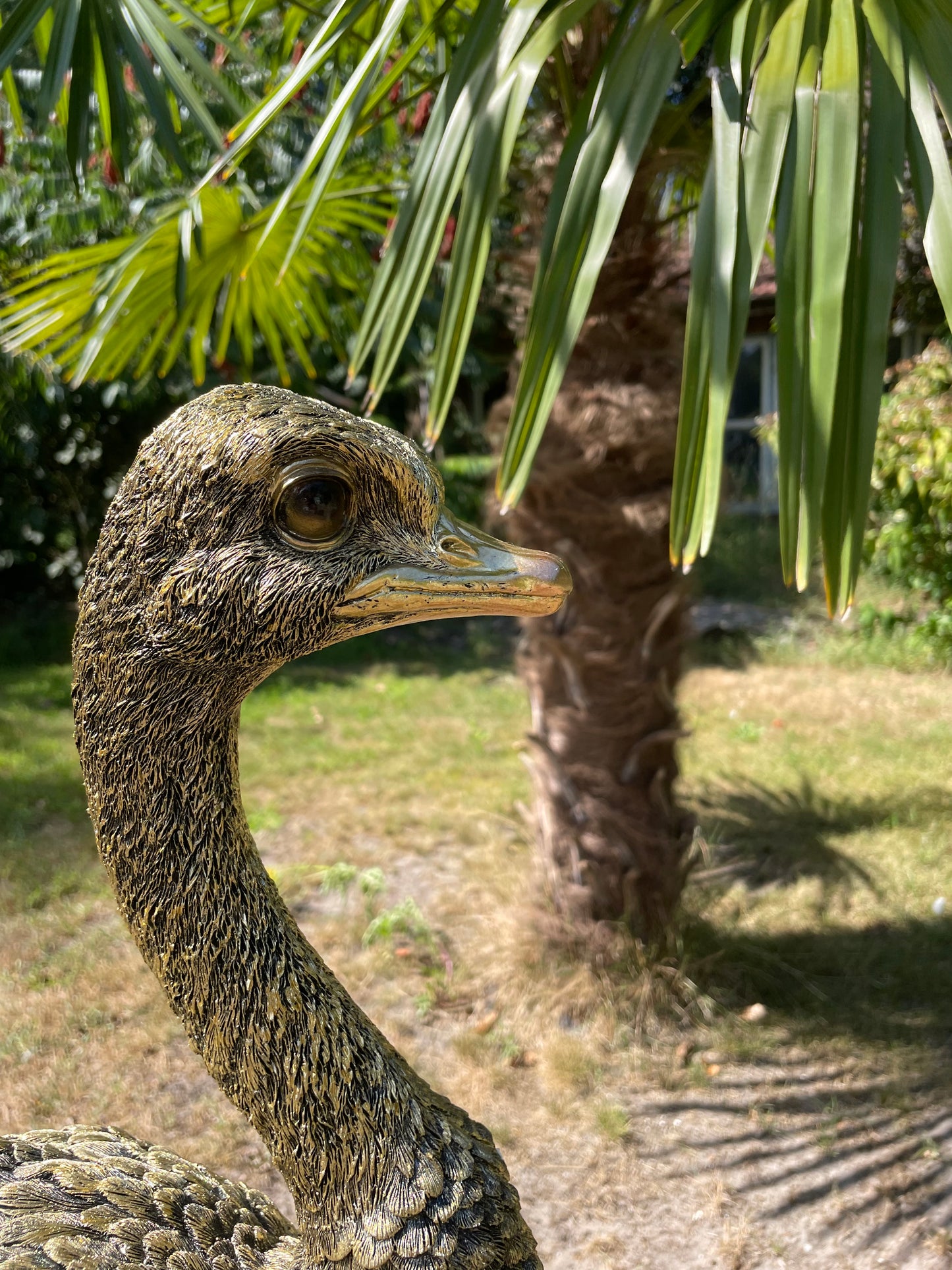 Beeld Struisvogel middel, gazon, tuin, dierentuin 70cm