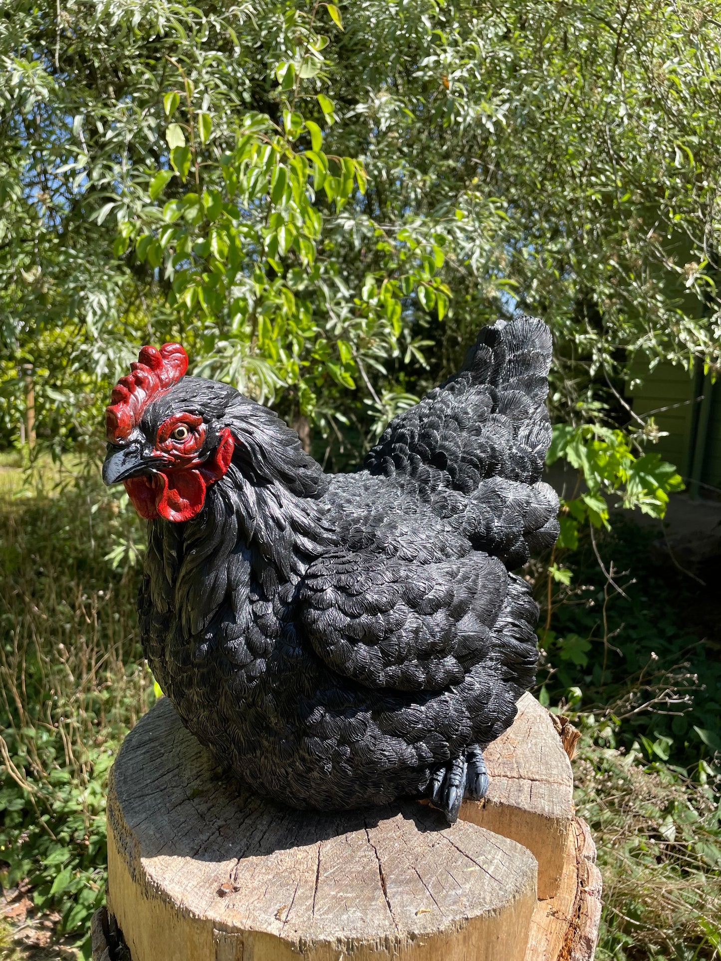 Beeld kip, zwart groot tuin, vijver, gazon, boerderij 40cm
