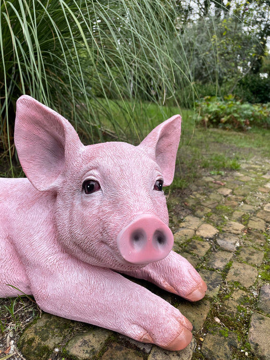 (Tuin)Beeld varken roze liggend tuin, boerderij 70cm