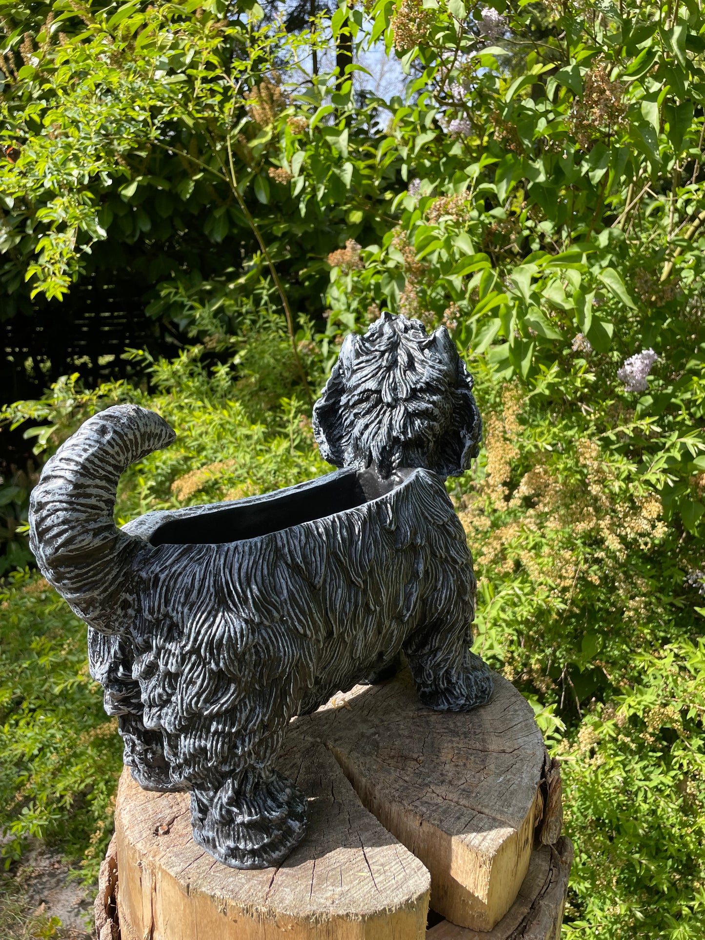 hond poedel plantenbak, tuin, gazon  45cm
