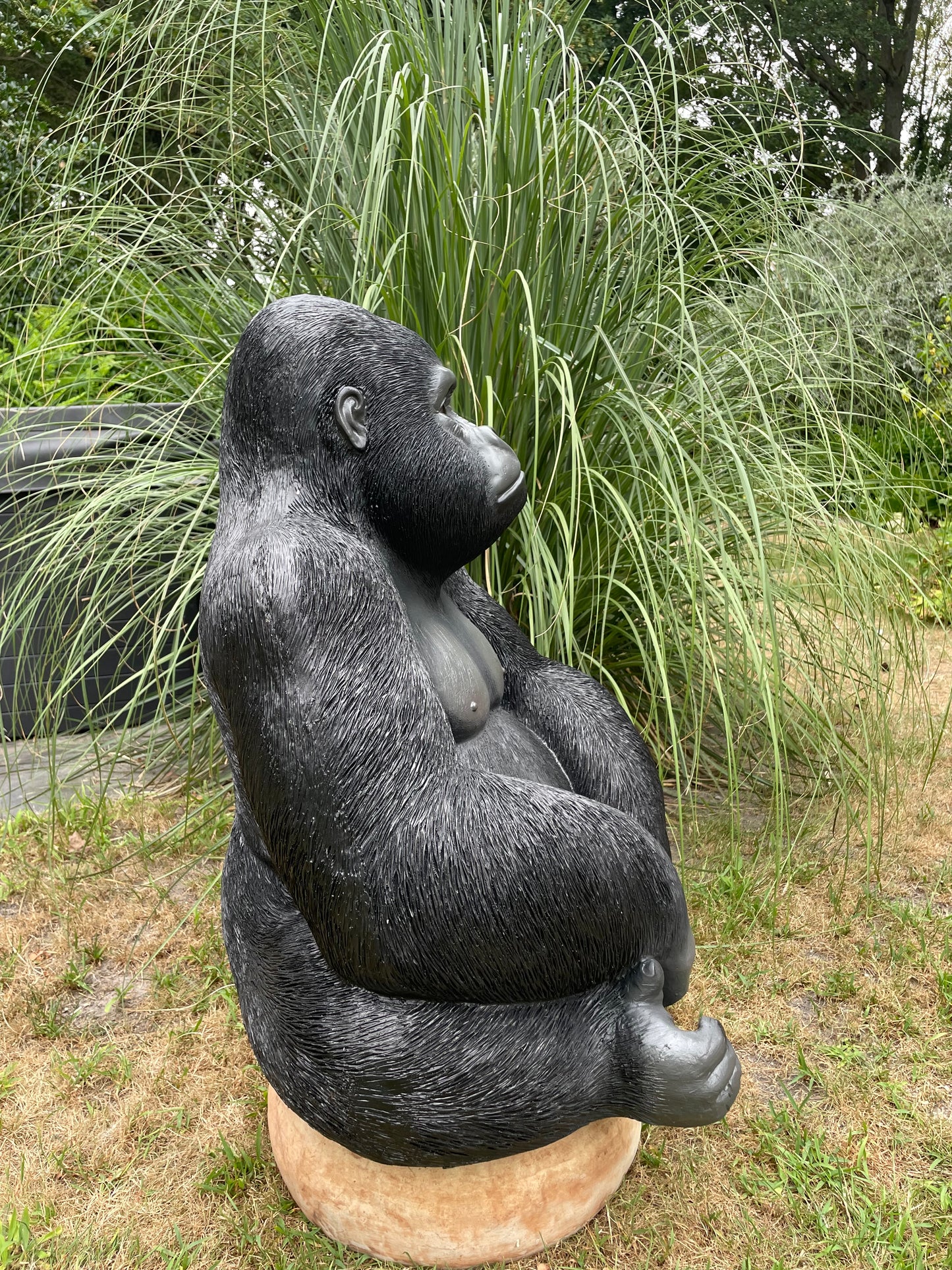 Beeld aap, gorilla, tuin, zwembad, vijver 80cm