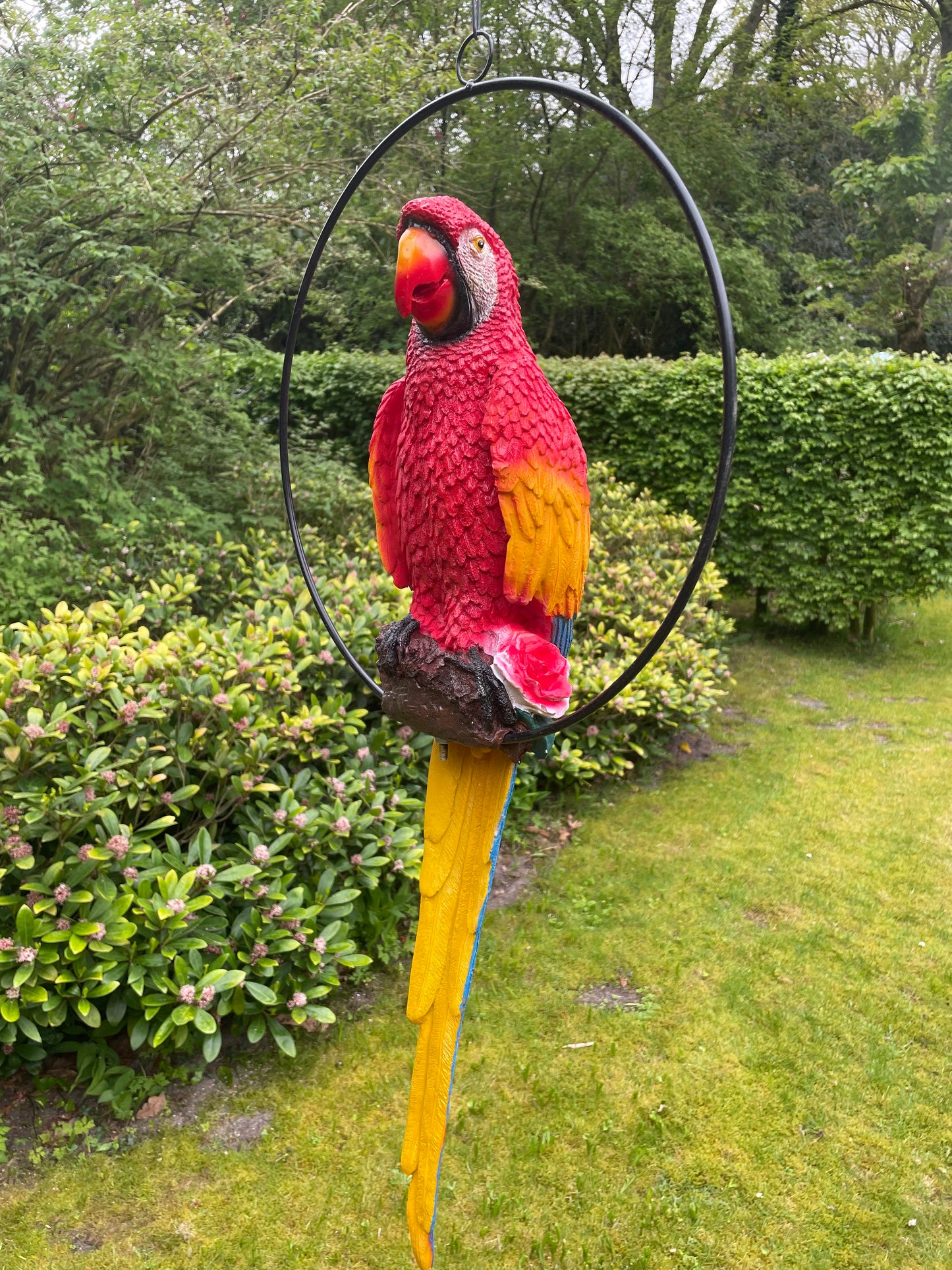 Beeld papegaai Rood tuin, zwembad, vijver, balkon 70cm