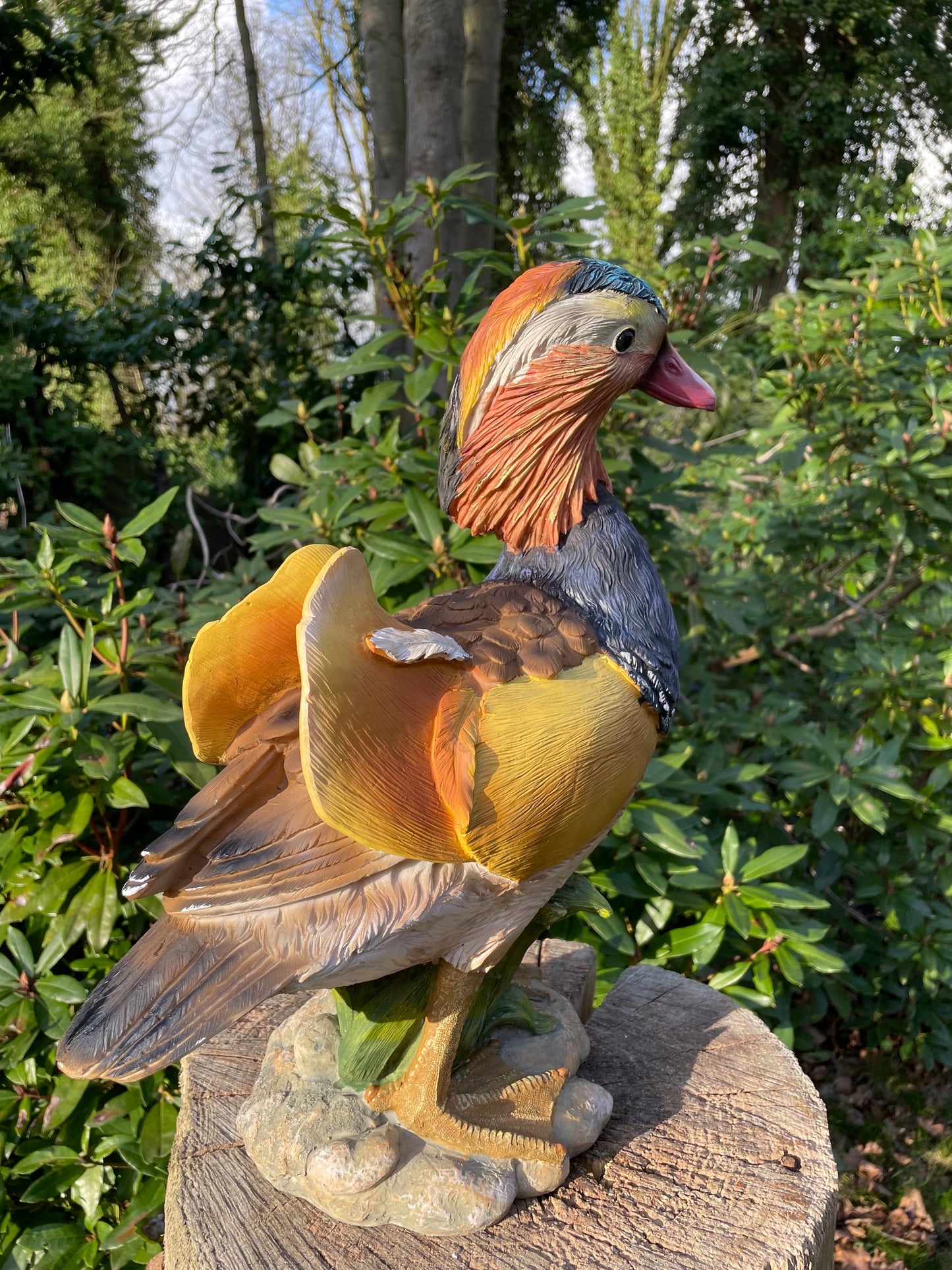Mandarijn eend tuin, vijver, gazon, boerderij 40cm