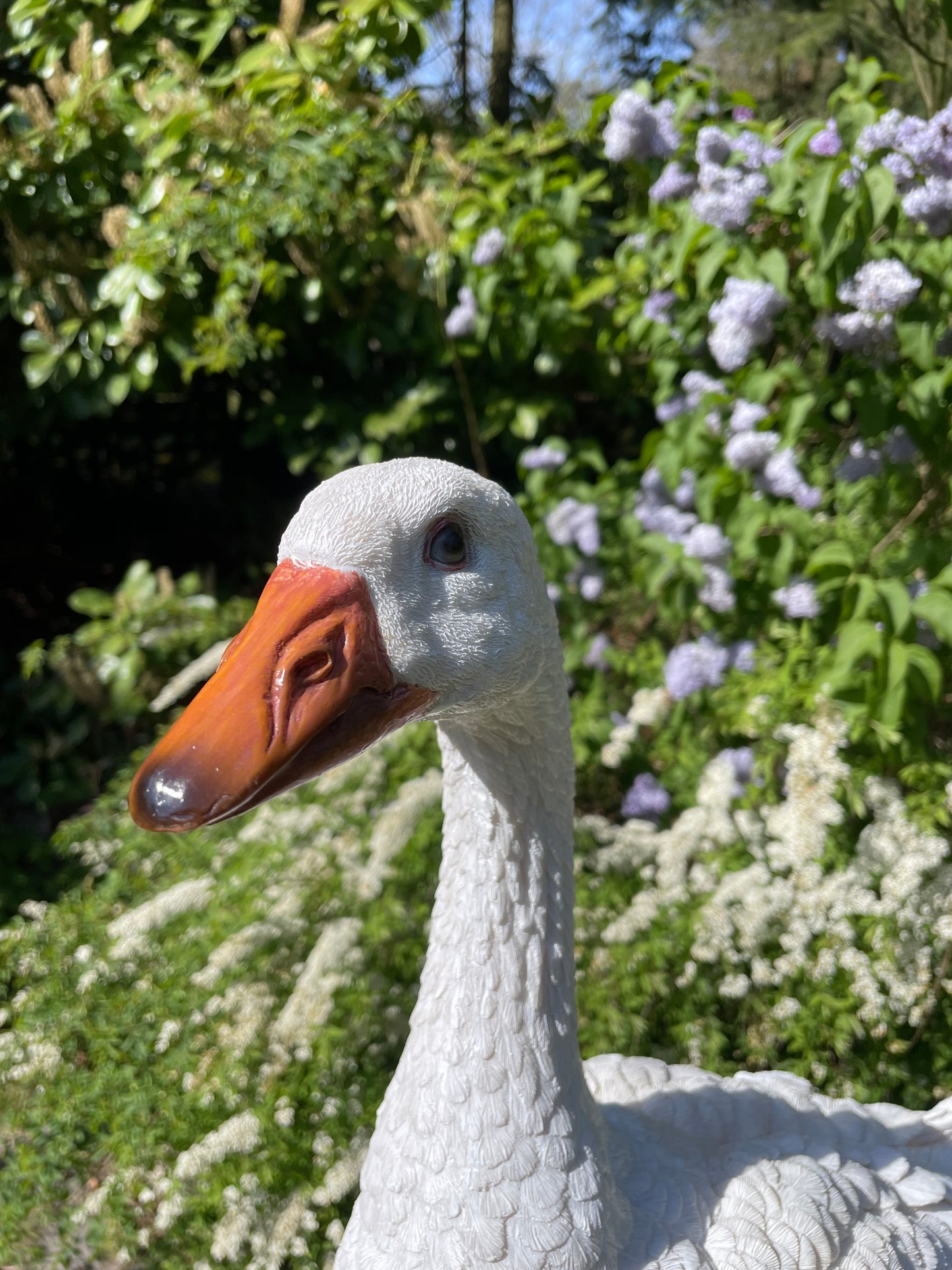 Beeld Gans wit, tuin, zwembad, vijver, boerderij 60cm