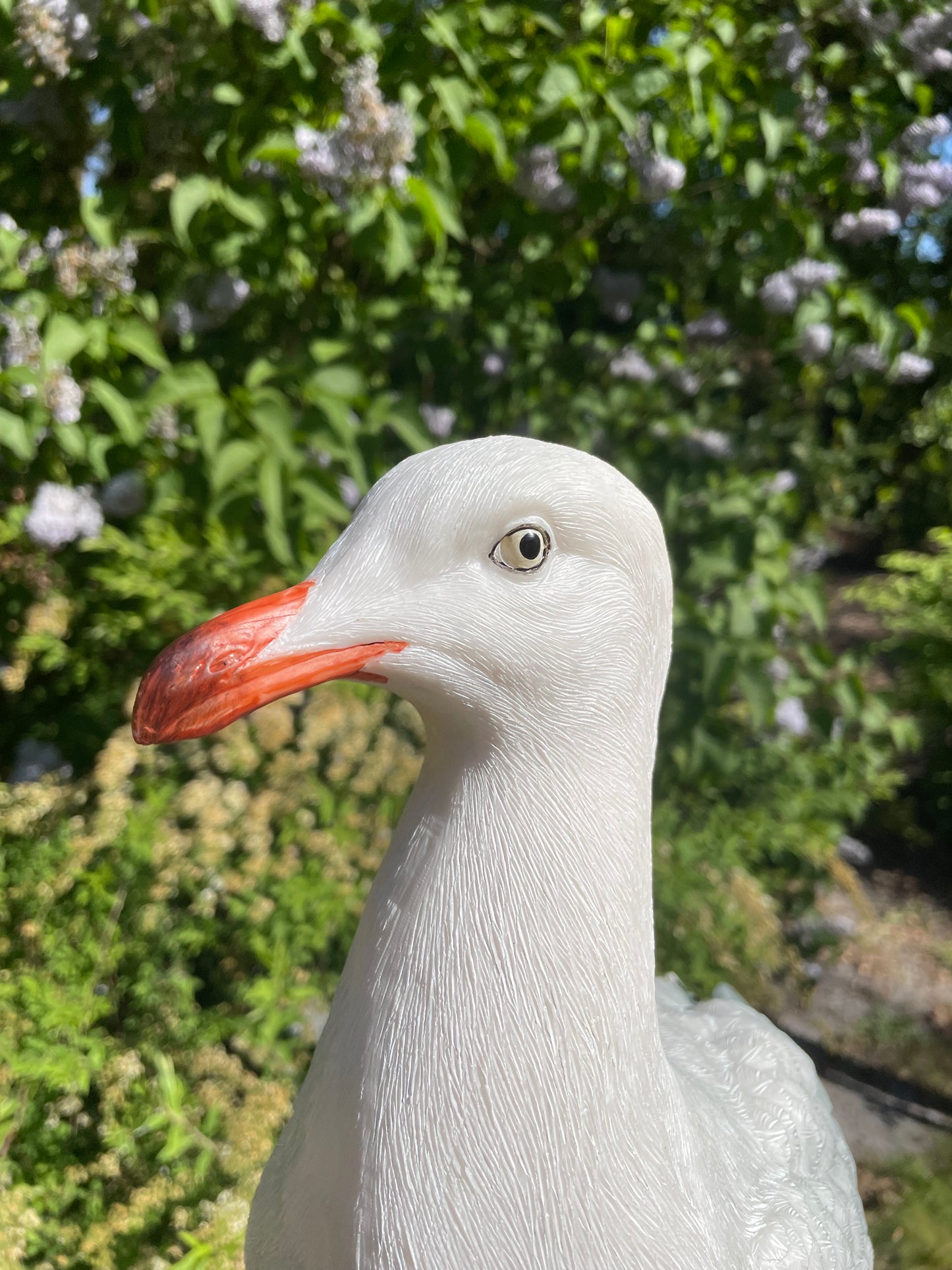 Meeuw, vogel, tuin, boerderij, vijver, zee 30cm