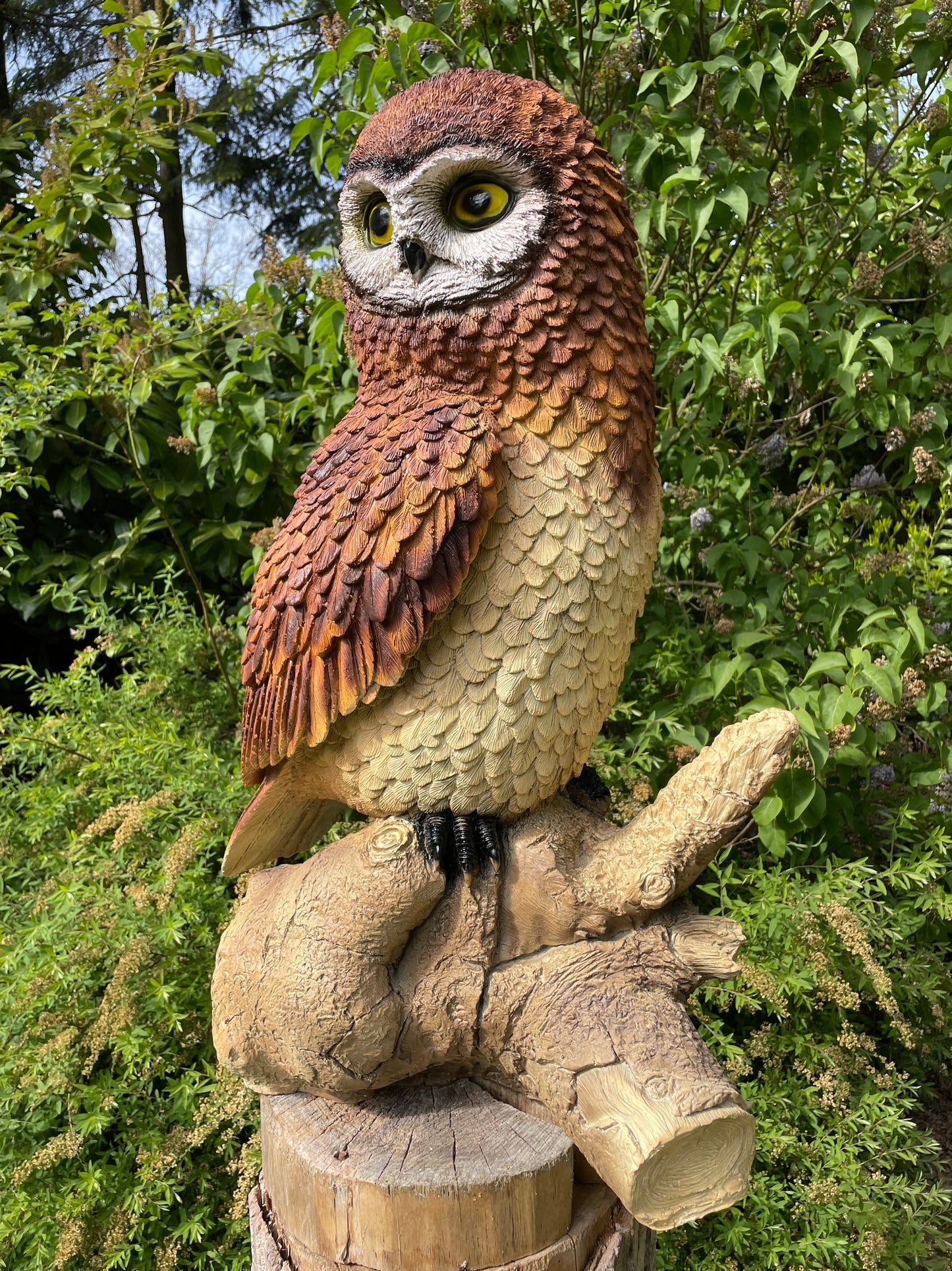 Beeld Bruine uil, boomstronk, tuin, gazon, dierentuin 80cm