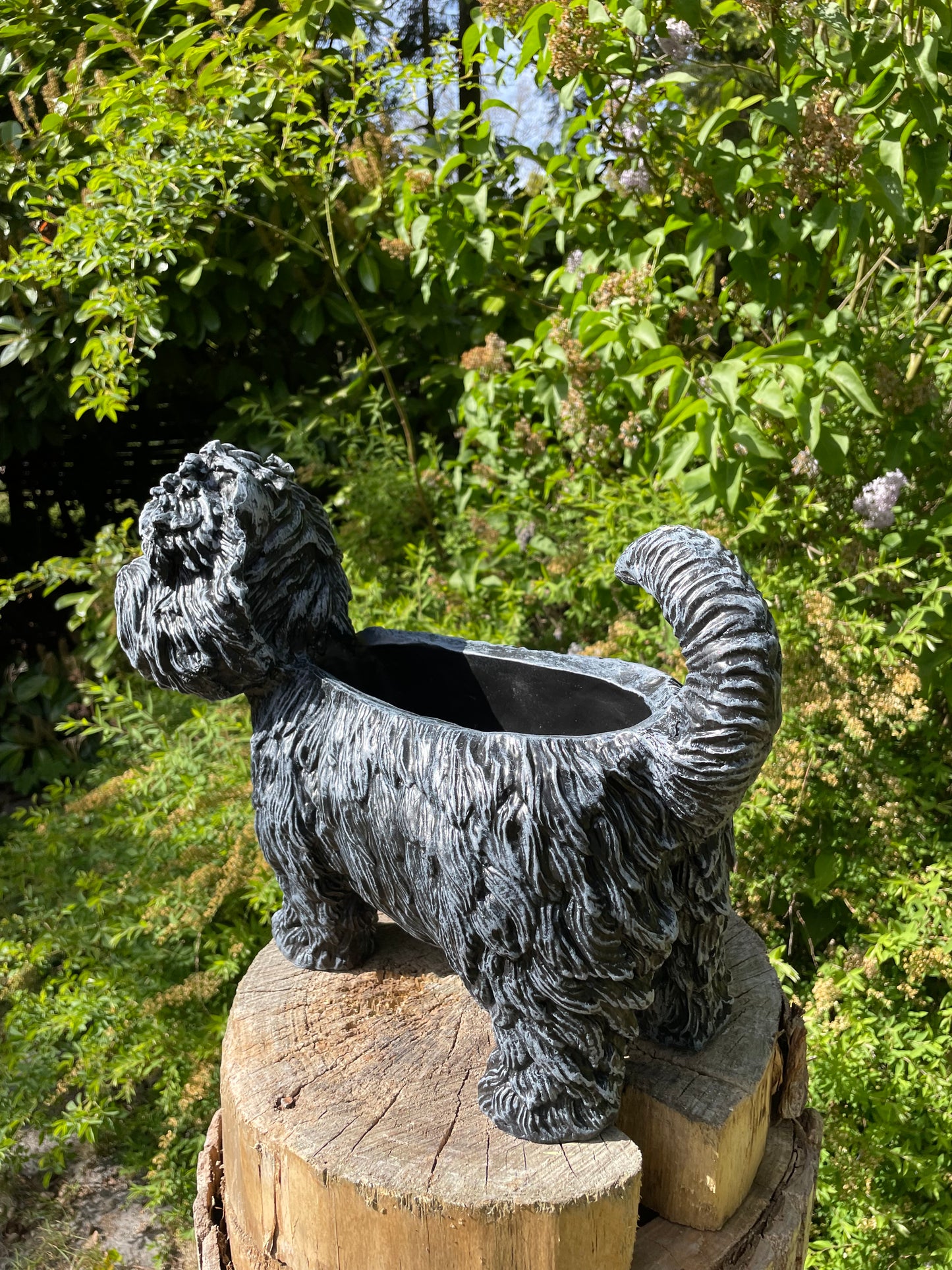 hond poedel plantenbak, tuin, gazon  45cm